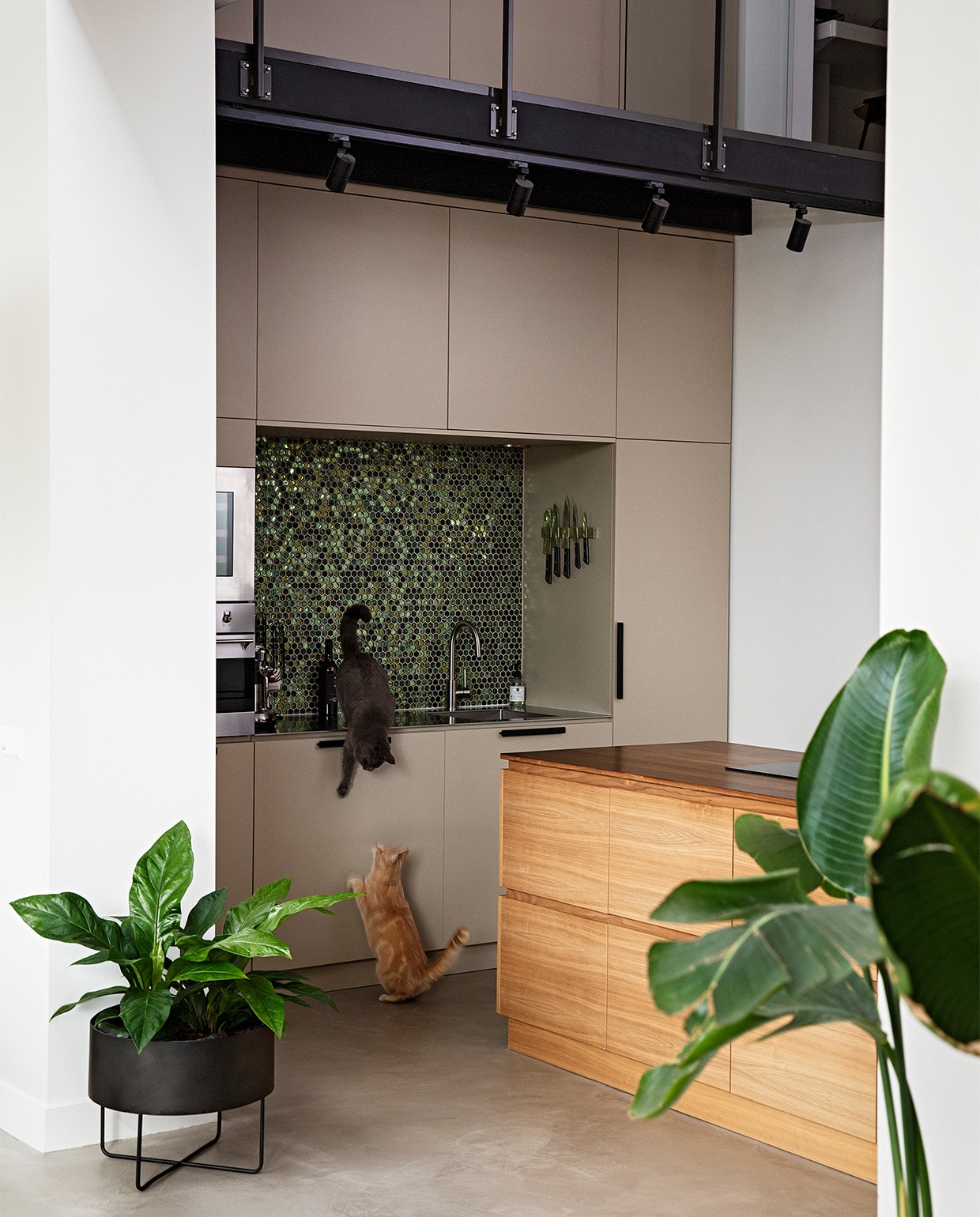 Keuken op maat gemaakt Studio Tijn. Vaas Bloemendaal Bloemen. Mozaïektegels Kol Tegels &amp; Sanitair. vtwonen 08-2021 | styling Ilona Jongepier | fotografie Dana van Leeuwen | tekst Monique Butter