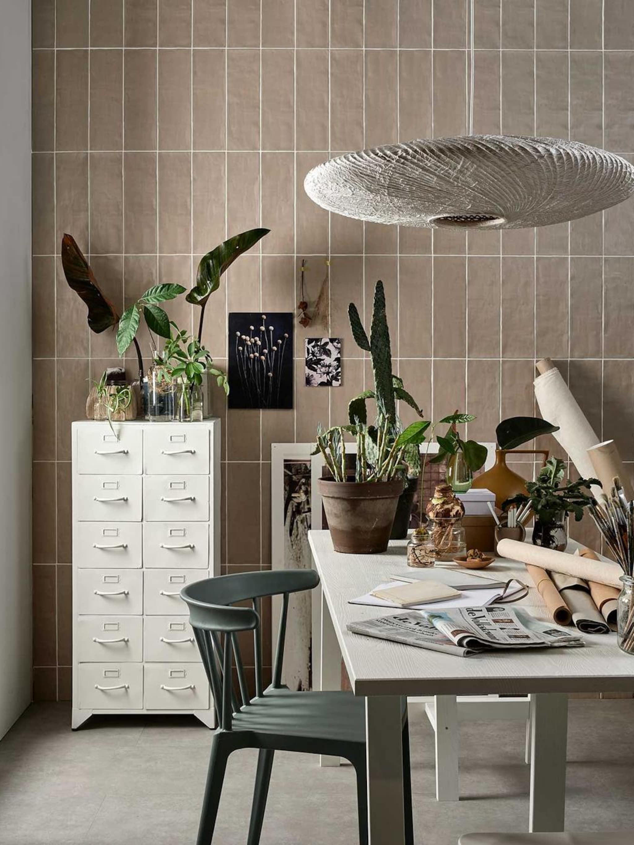 als je niet genoeg ruimte meer hebt kleine kamerplanten die klein blijven
