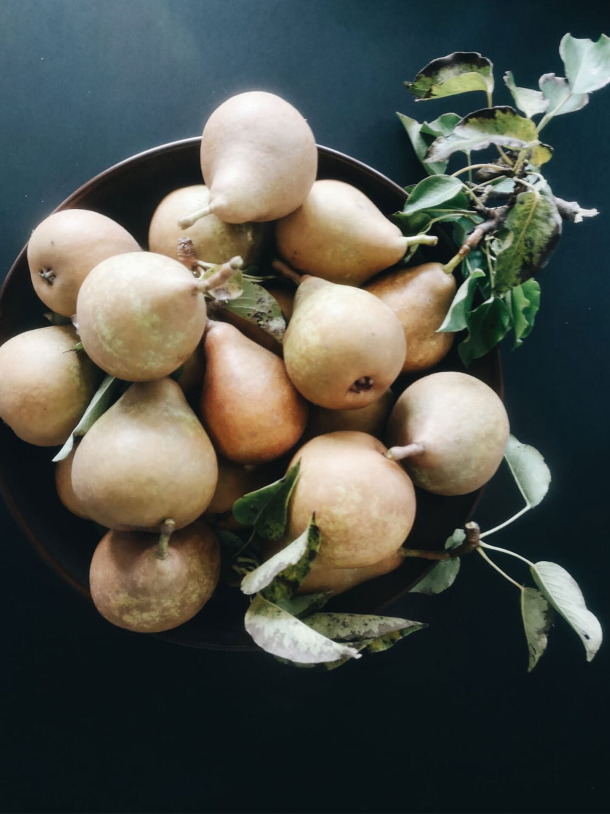 vivian en mark wij plukken fruit net voordat het rijp is