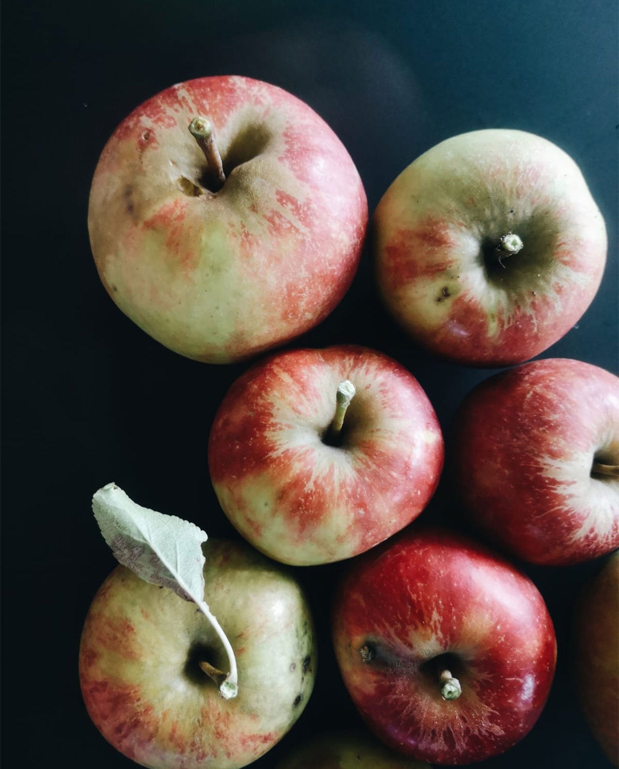 beeld vtwonen Tuinblog 4 - Vivian en Mark - Fruit oogsten