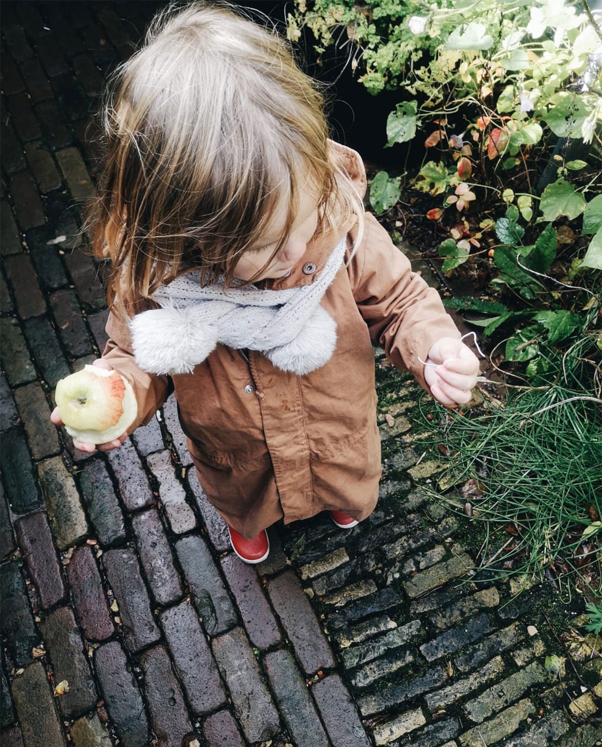 beeld vtwonen Tuinblog 4 - Vivian en Mark - Fruit oogsten