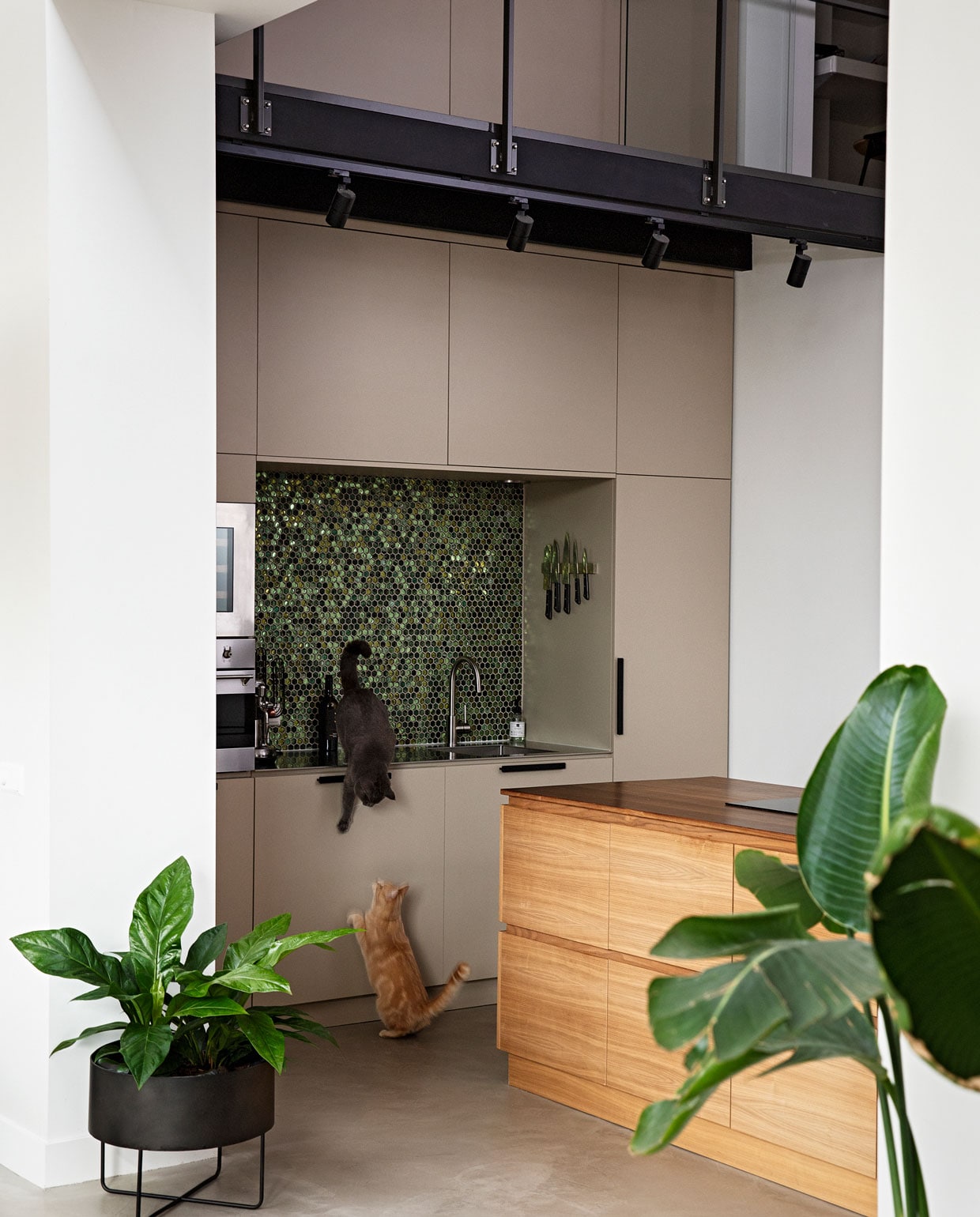 Keuken op maat gemaakt Studio Tijn, Bloempot Loods 5. Mozaïktegels Kol tegels &amp; Sanitair. Planten tuincentrum. vtwonen 08-2021, styling Ilona Jongepier, fotografie Dana van Leeuwen