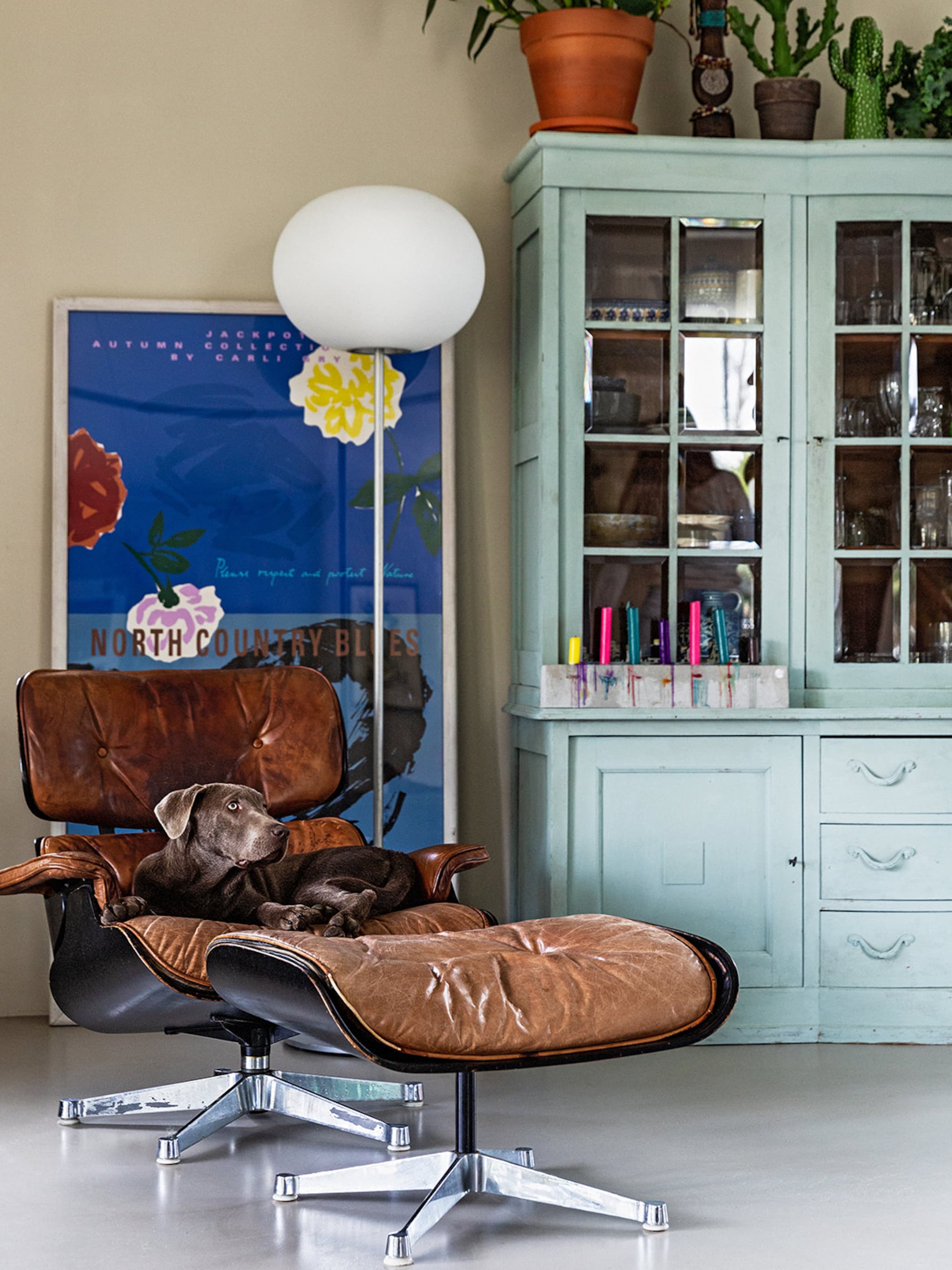 shopgids designiconen voor jouw design woonstijl