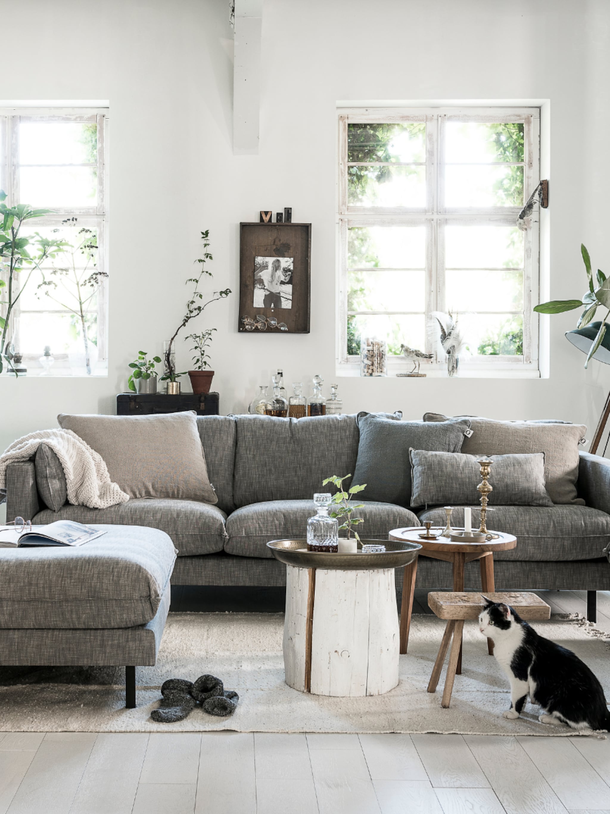 stylish items voor huisdieren die perfect in het interieur passen