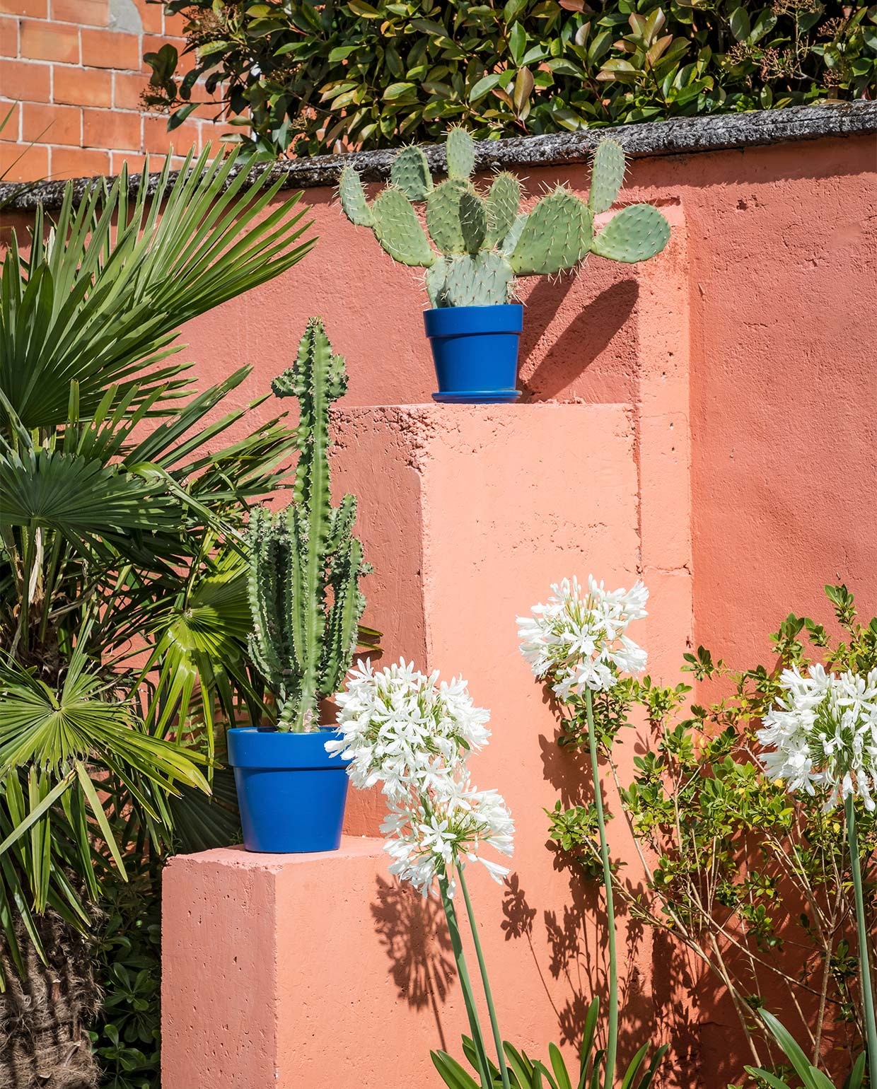 Tweedehands terracotta-potten, blauw geverfd. vtwonen special binnenkijken 07-2021 | productie Anne-Catherine Scoffoni | styling Marie-Maud Levron | fotografie Cecile Perrinet-Lhermitte