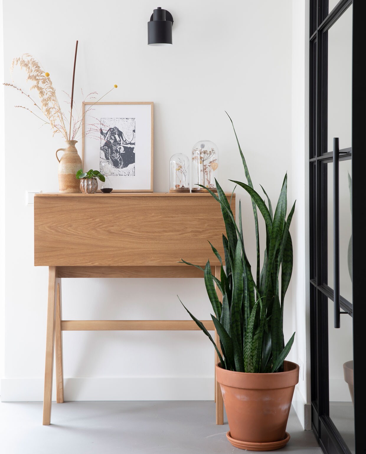 Wandlamp Kwantum, Plant zorgkwekerij Bloei. Overige herkomst onbekend. Beeld: fotografie Macha Gutlich | tekst monique van der pauw
