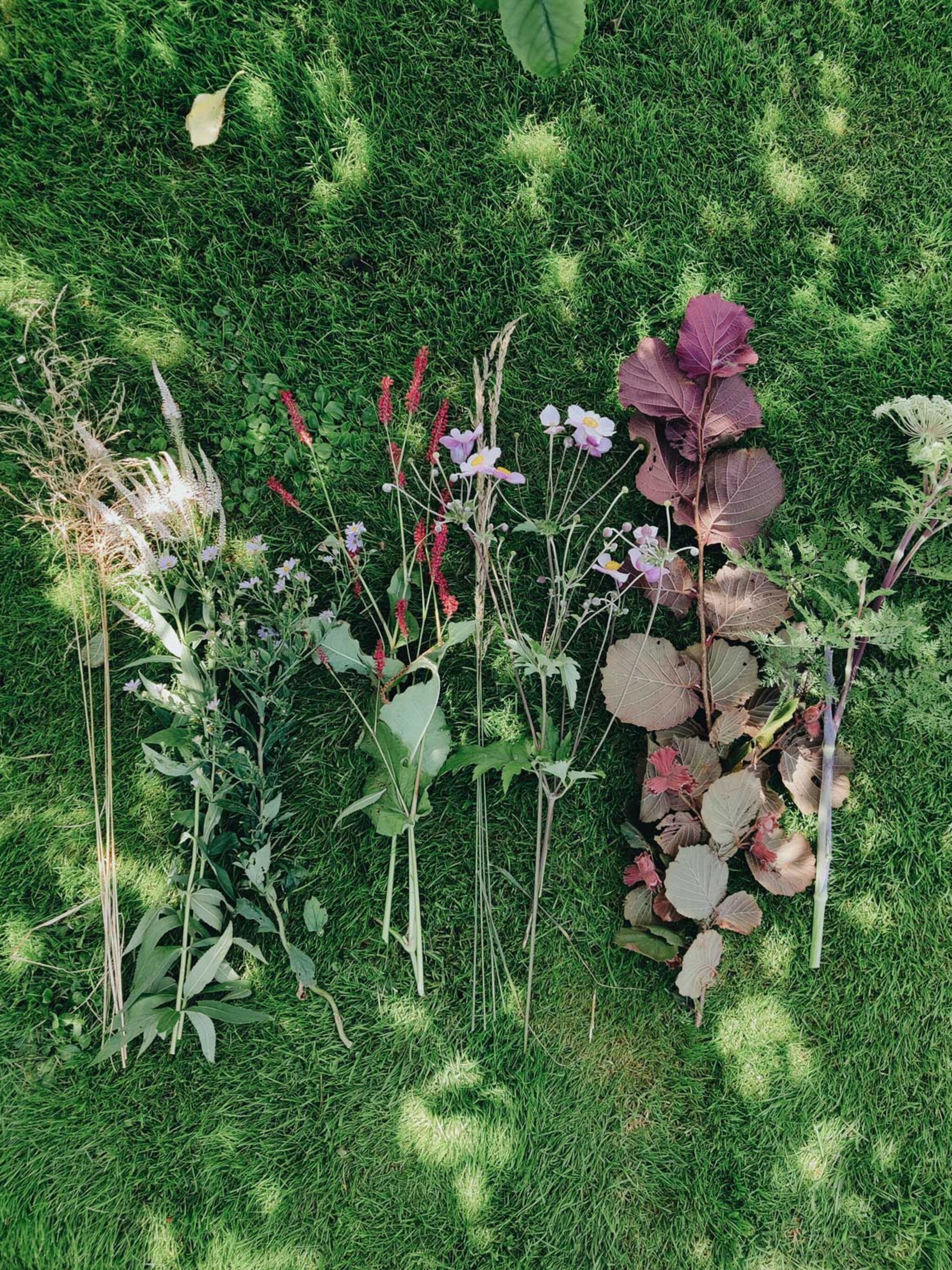vivian en mark eigenlijk is elke tuin een pluktuin
