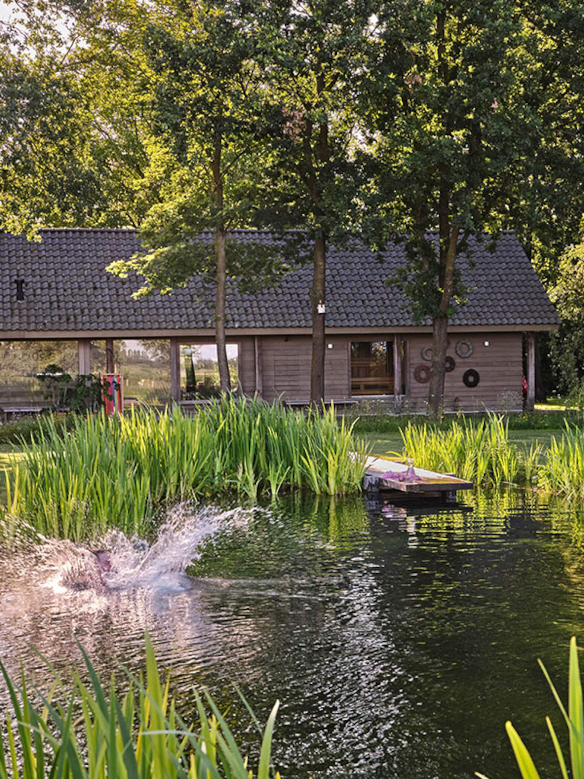 buitenkijken in een brabants bloemenparadijs met zwemvijver