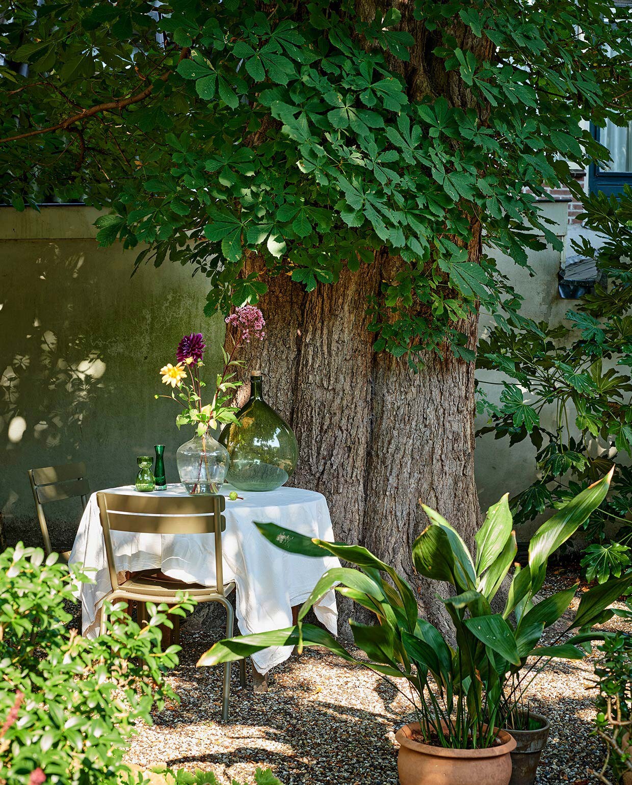 Buitenstoelen Luxembourg van Fermob. Ronde tafel tweedehands. Vazen Sjakie’s. Plant op de voorgrond: Aspidistra elatior. vtwonen 07-2021 | productie Features &amp; More | styling Wilma Clusters | fotografie Renee Frinking | tekst Chantal Hintze | tekstbewerking Laura Zuidema