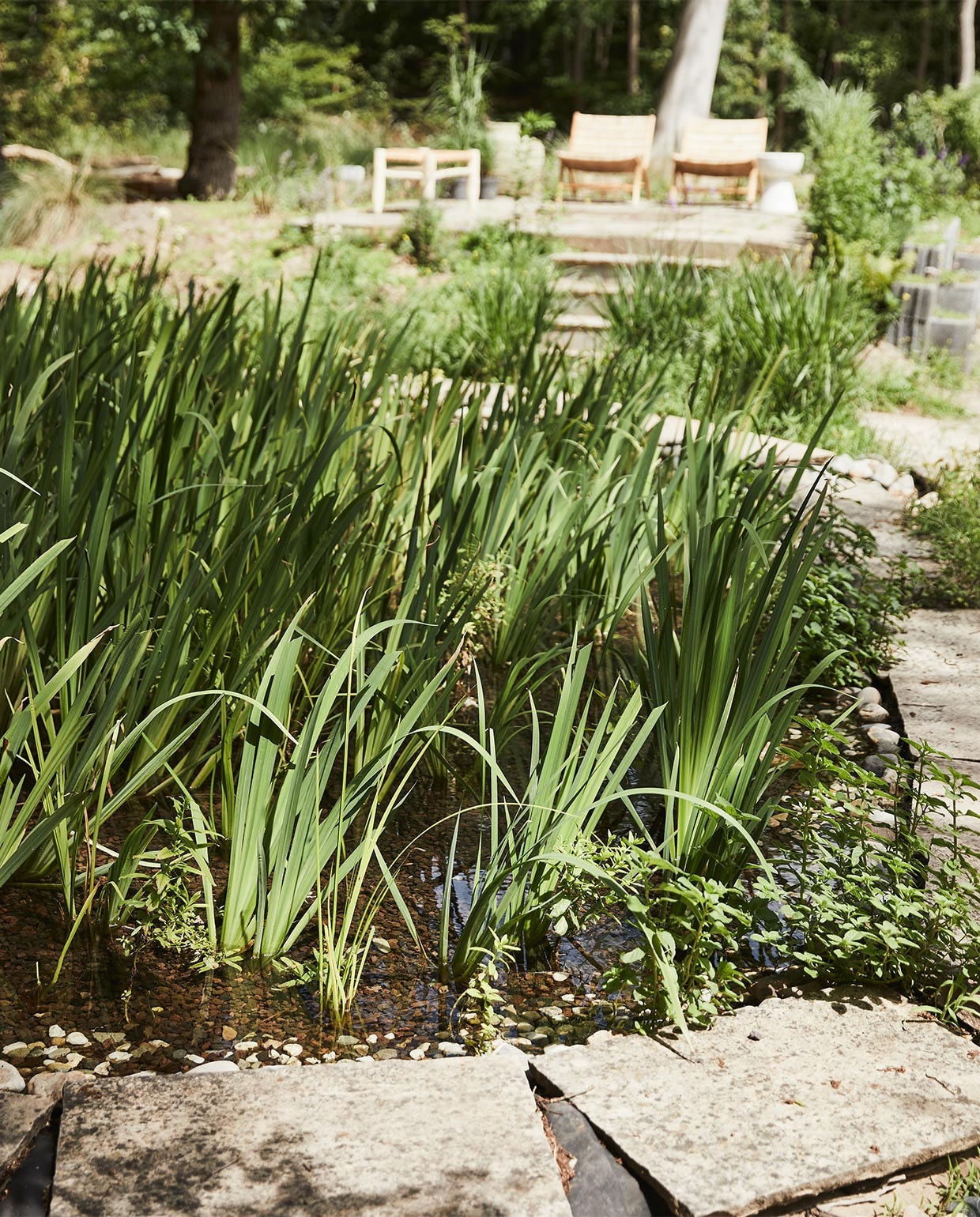 beeld vtwonen vtwonen special tuin 03 2021 | styling Fietje Bruijn | fotografie Alexander van Berge
