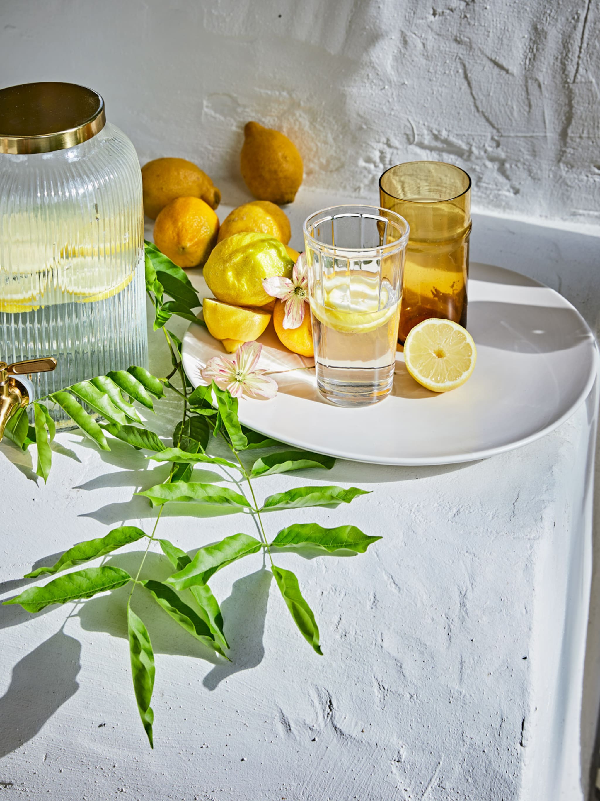 onmisbare items voor een zonnige picknick in de tuin