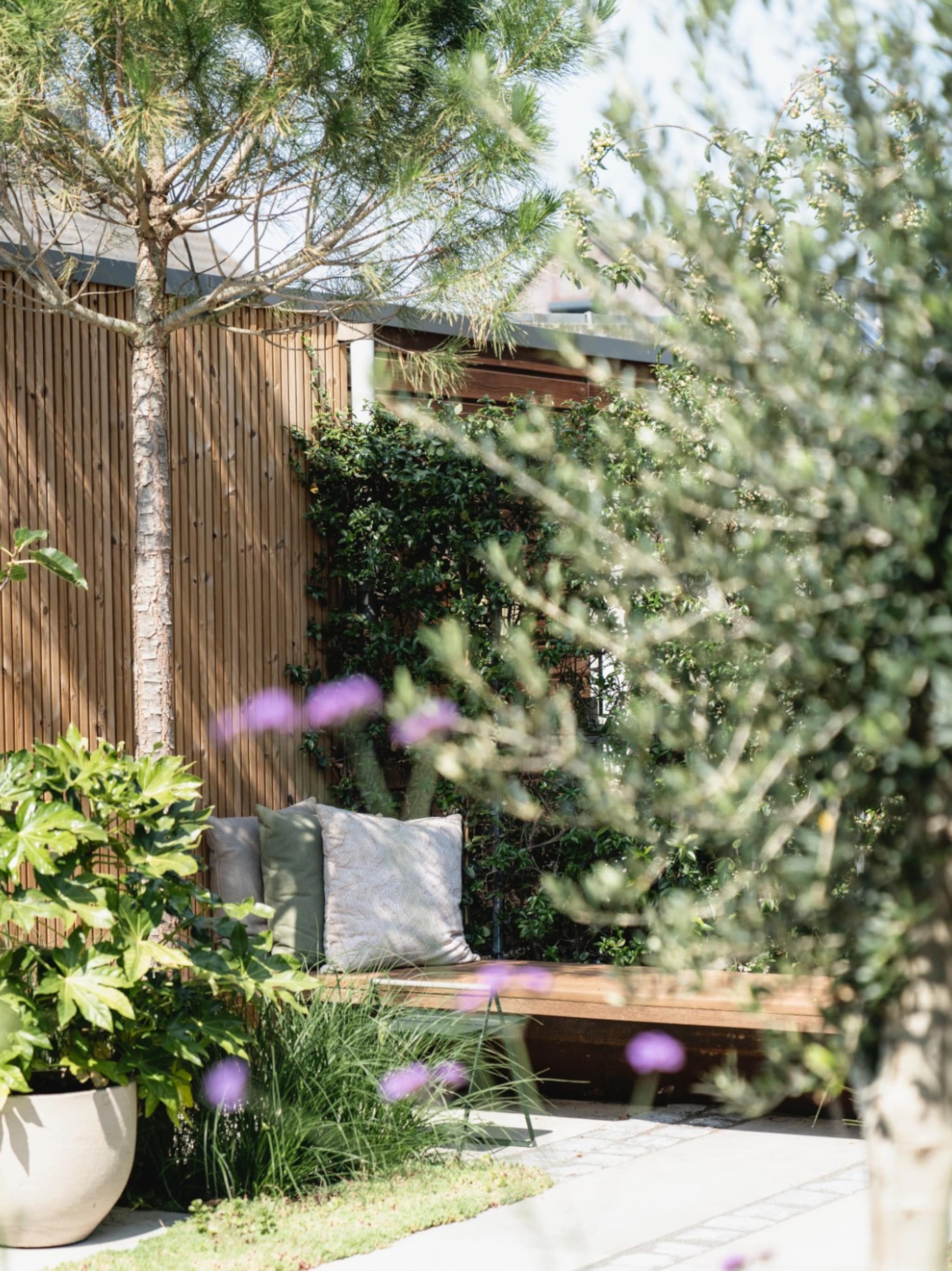 duik de tuin in dit kun je allemaal planten in maart met handige lijst