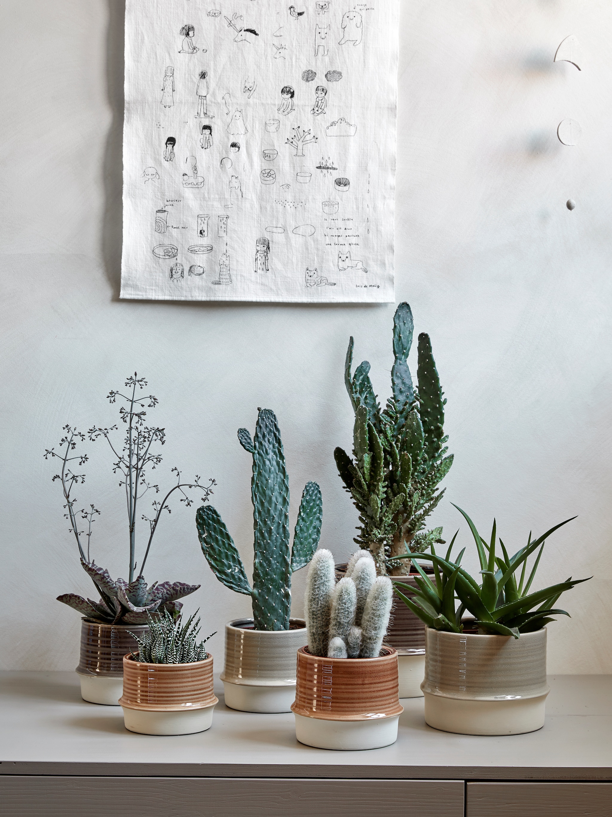 retro vibes met de nieuwe vtwonen pot en plant collectie bij albert heijn