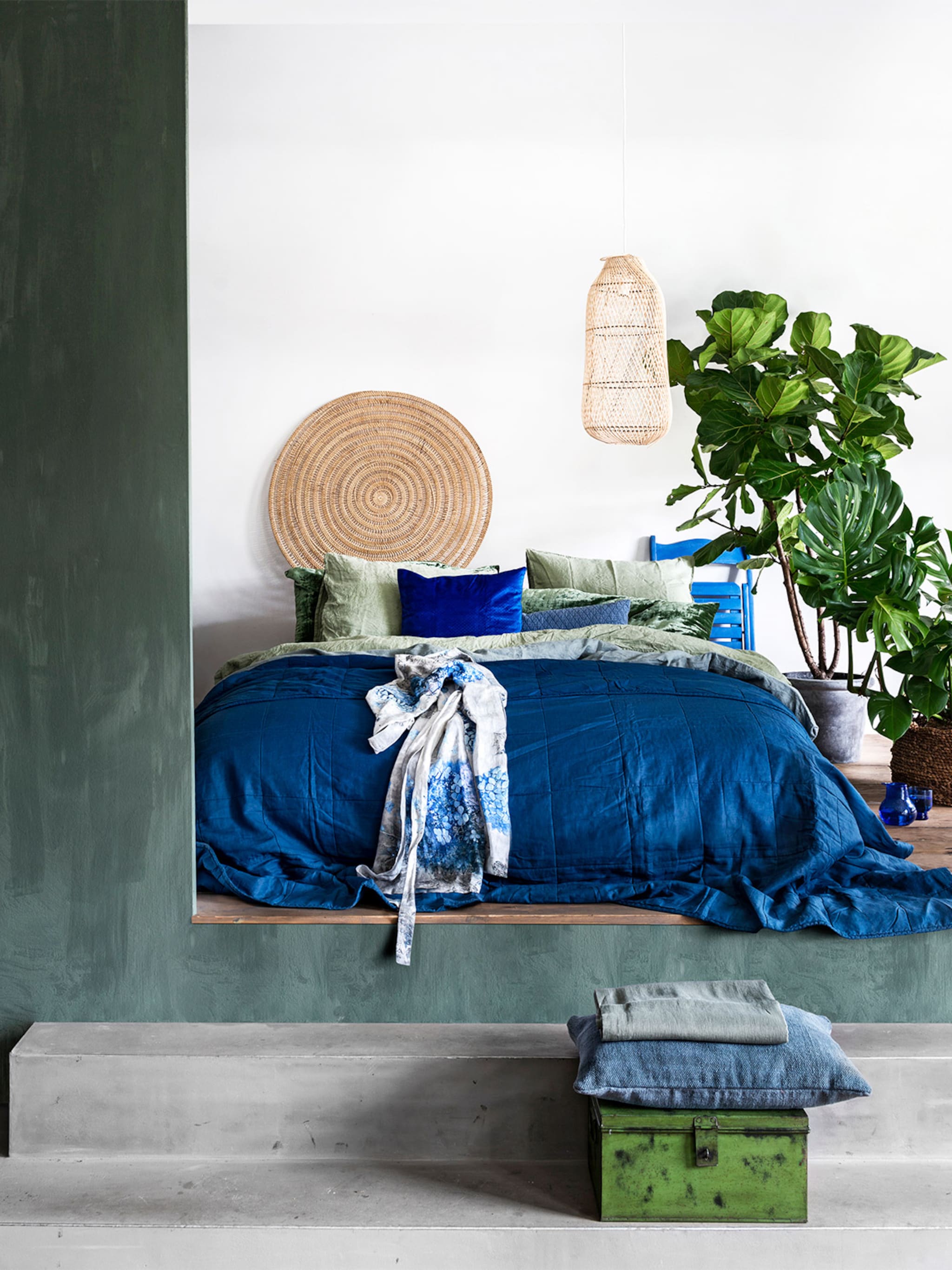 handige bloeiers deze 6 planten werken perfect als roomdivider