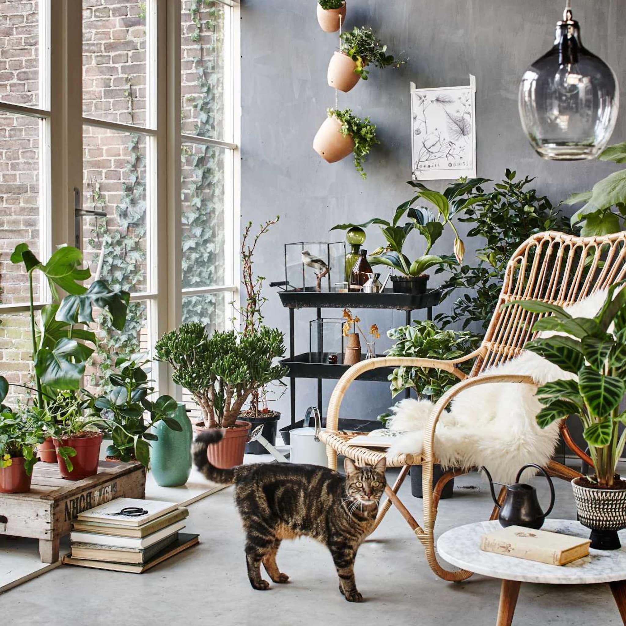 serre inrichten inspiratie ideeen