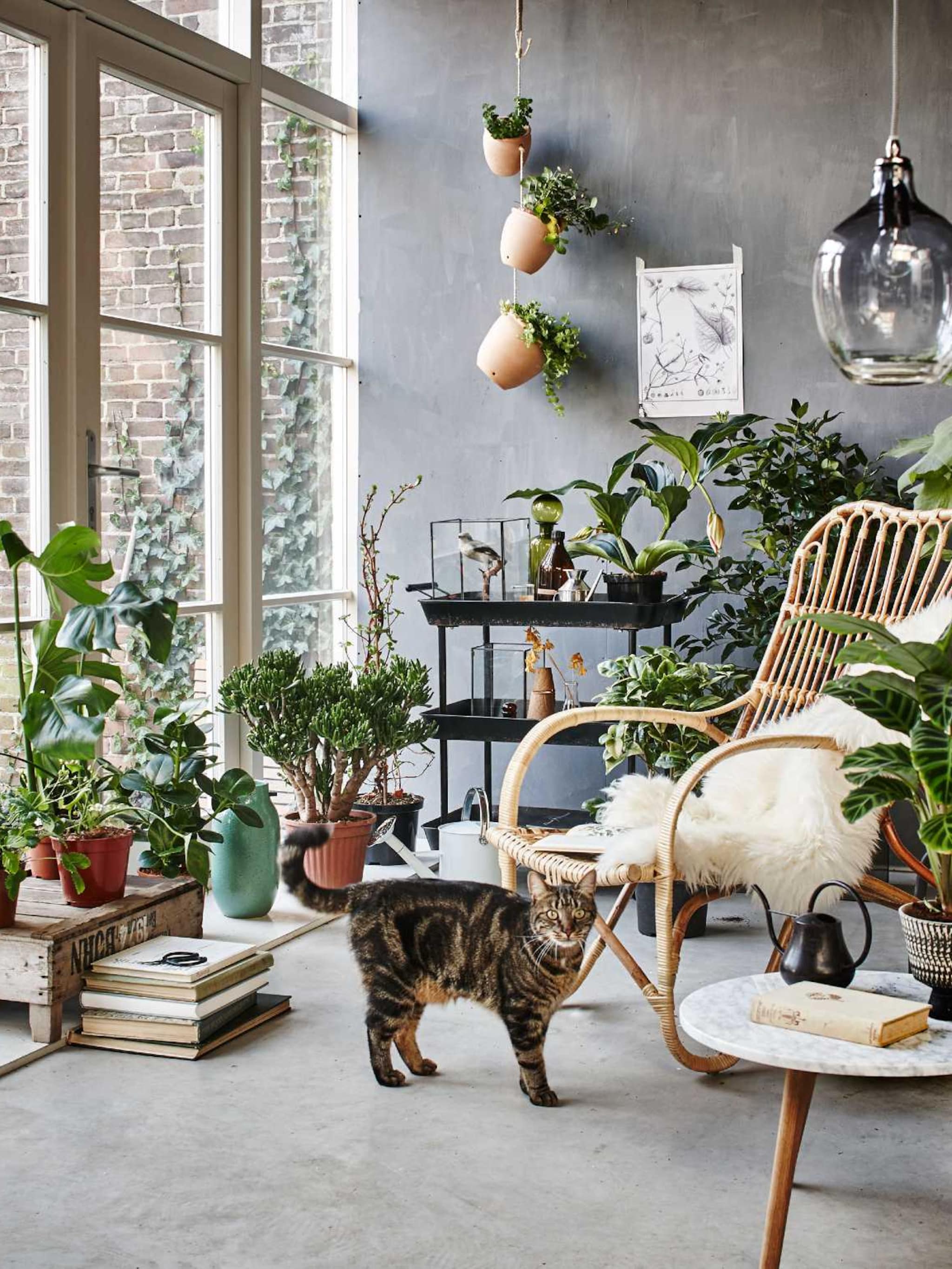 serre inrichten 4 ideeen ter inspiratie