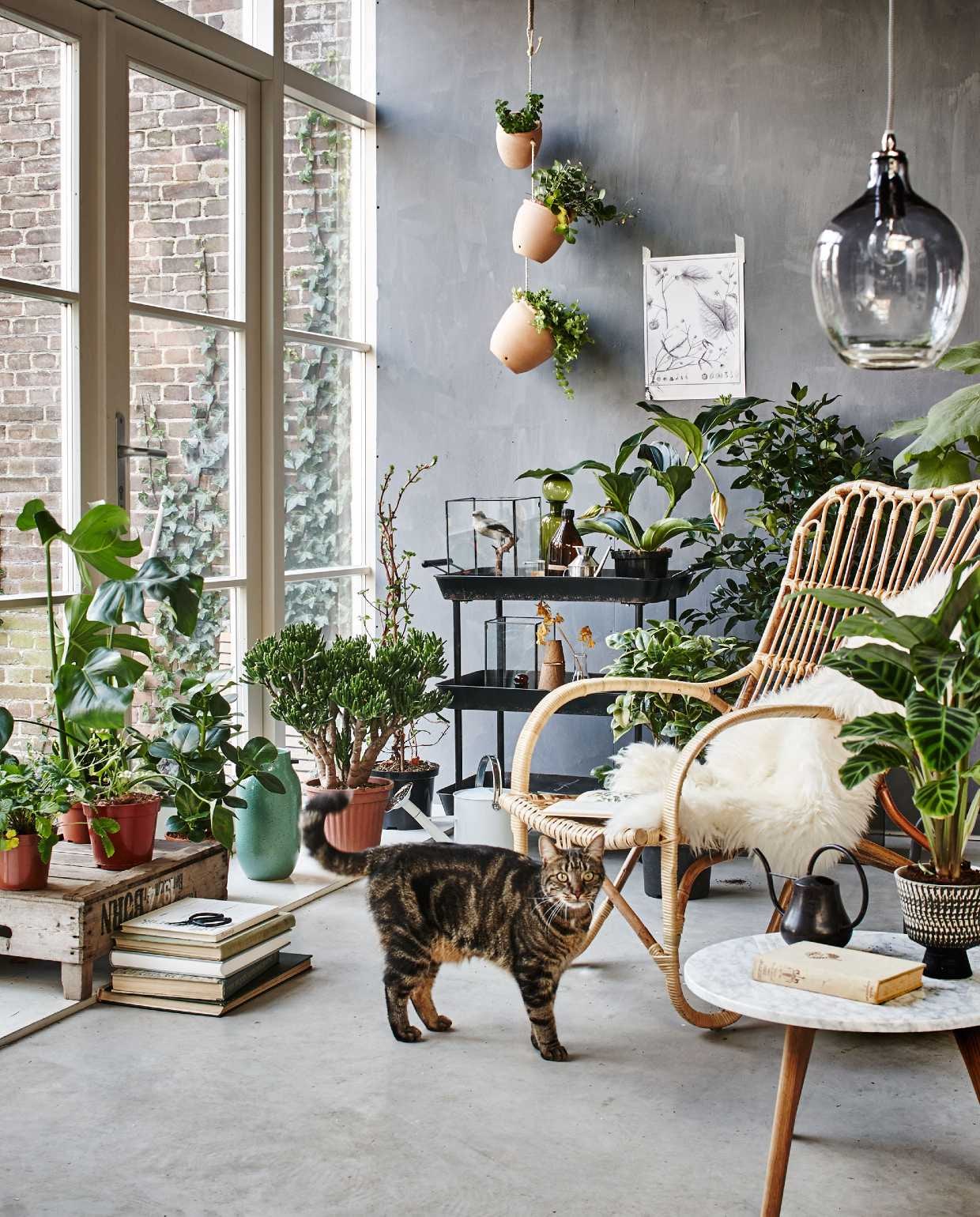fotografie Jeroen van der Spek | styling Anke Helmich