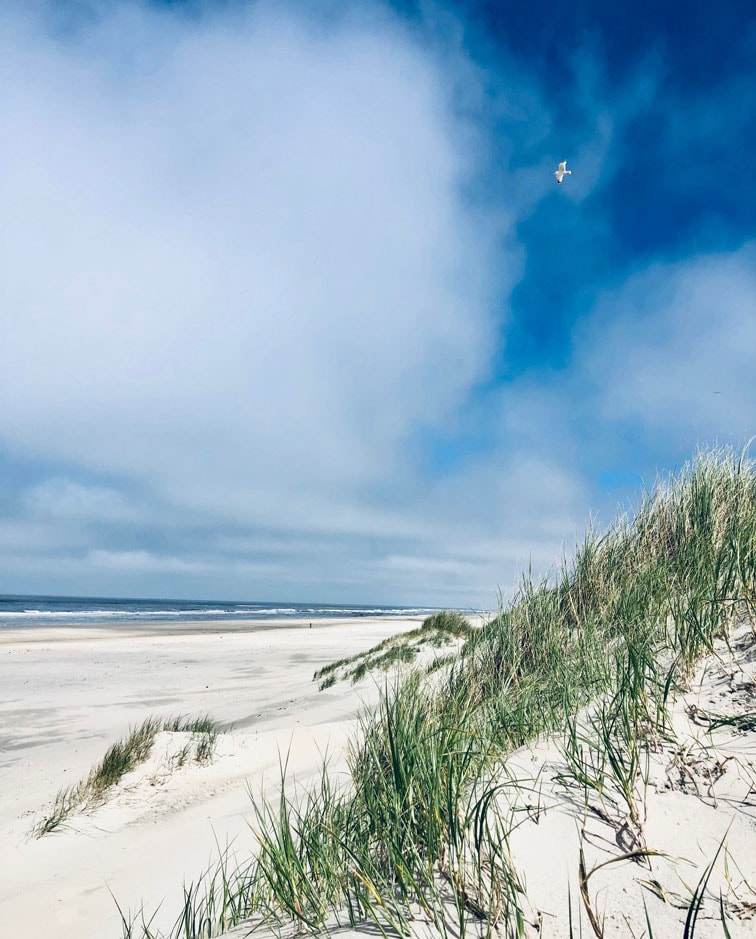 beeld vtwonen