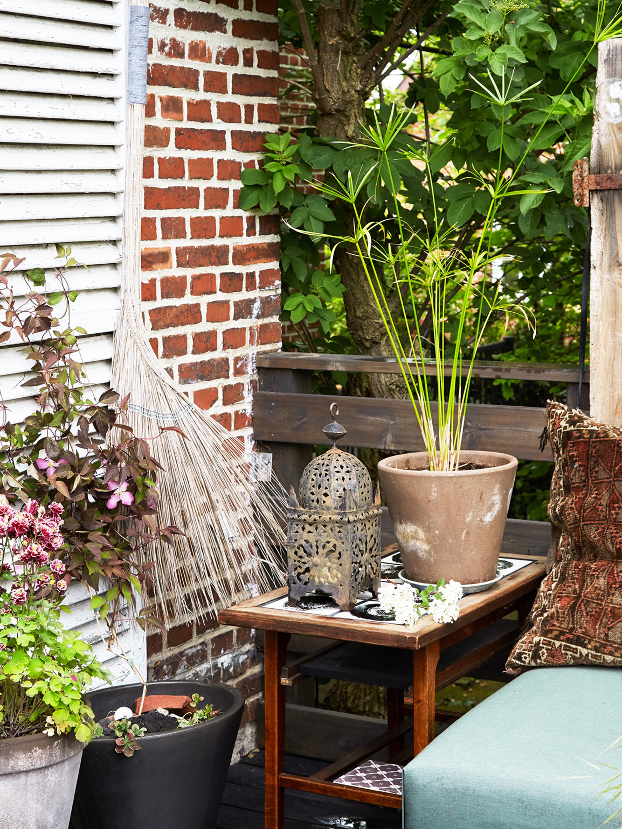 een zonloze tuin deze planten groeien ook in de schaduw
