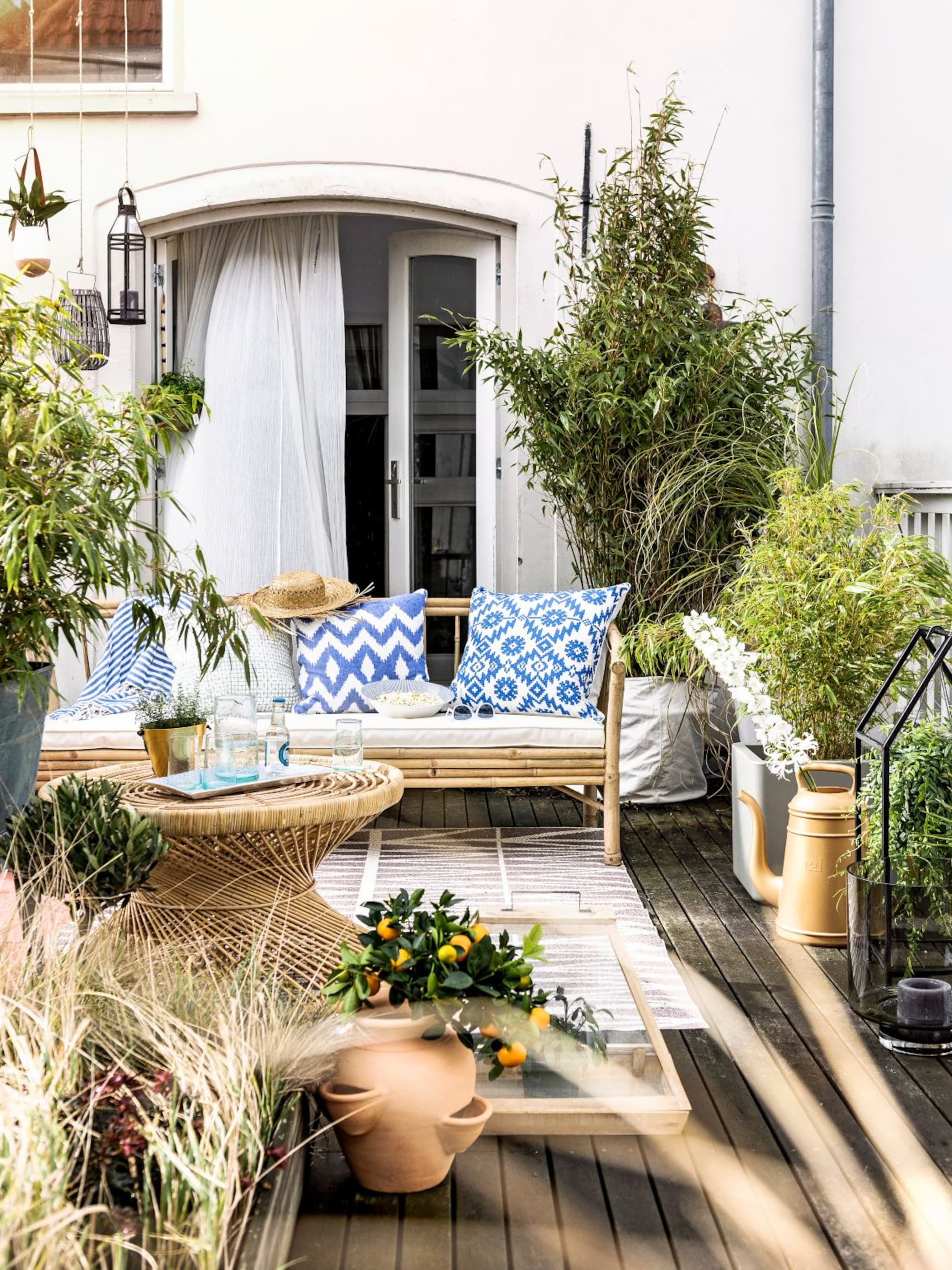 hitte en zon in aantocht dit is de beste tijd om planten water te geven