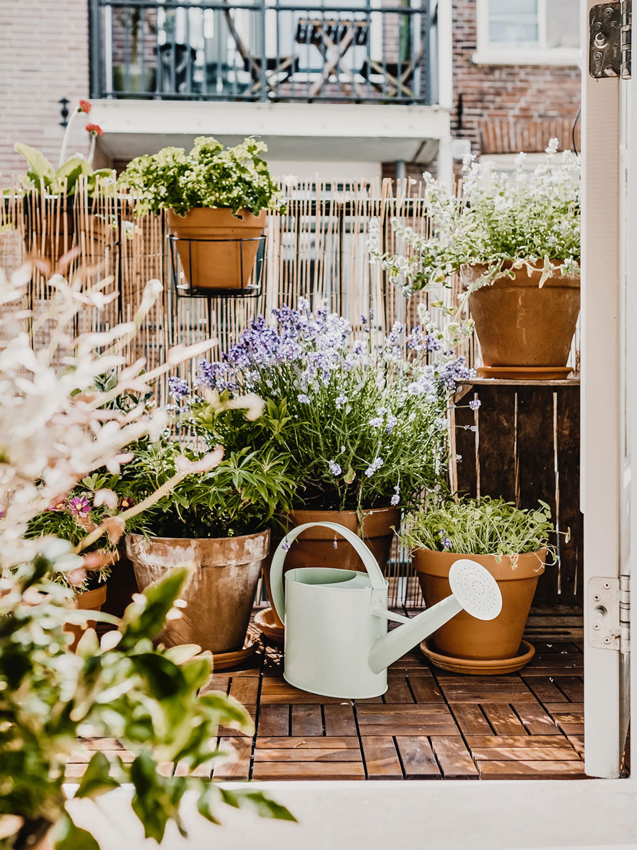 een moestuin op het balkon waarom niet