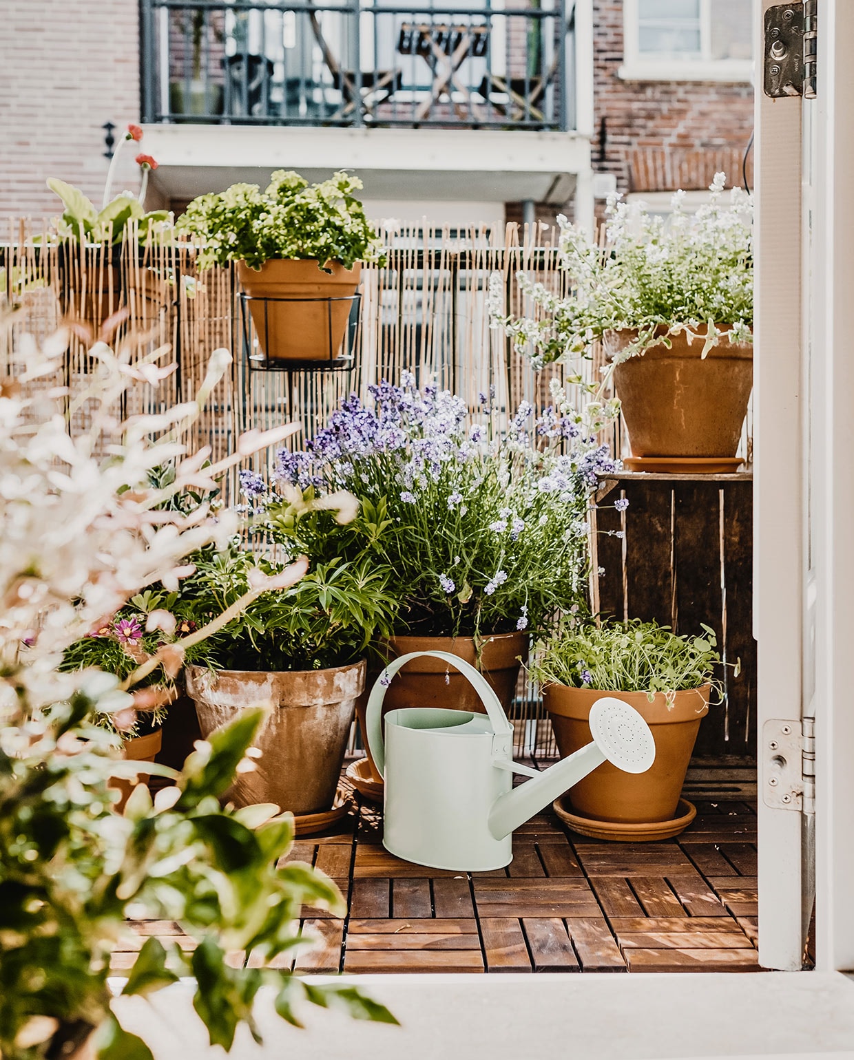 beeld vtwonen vtwonen 02-2021 | Productie Coco Features | Fotografie Roos Oosterbroek