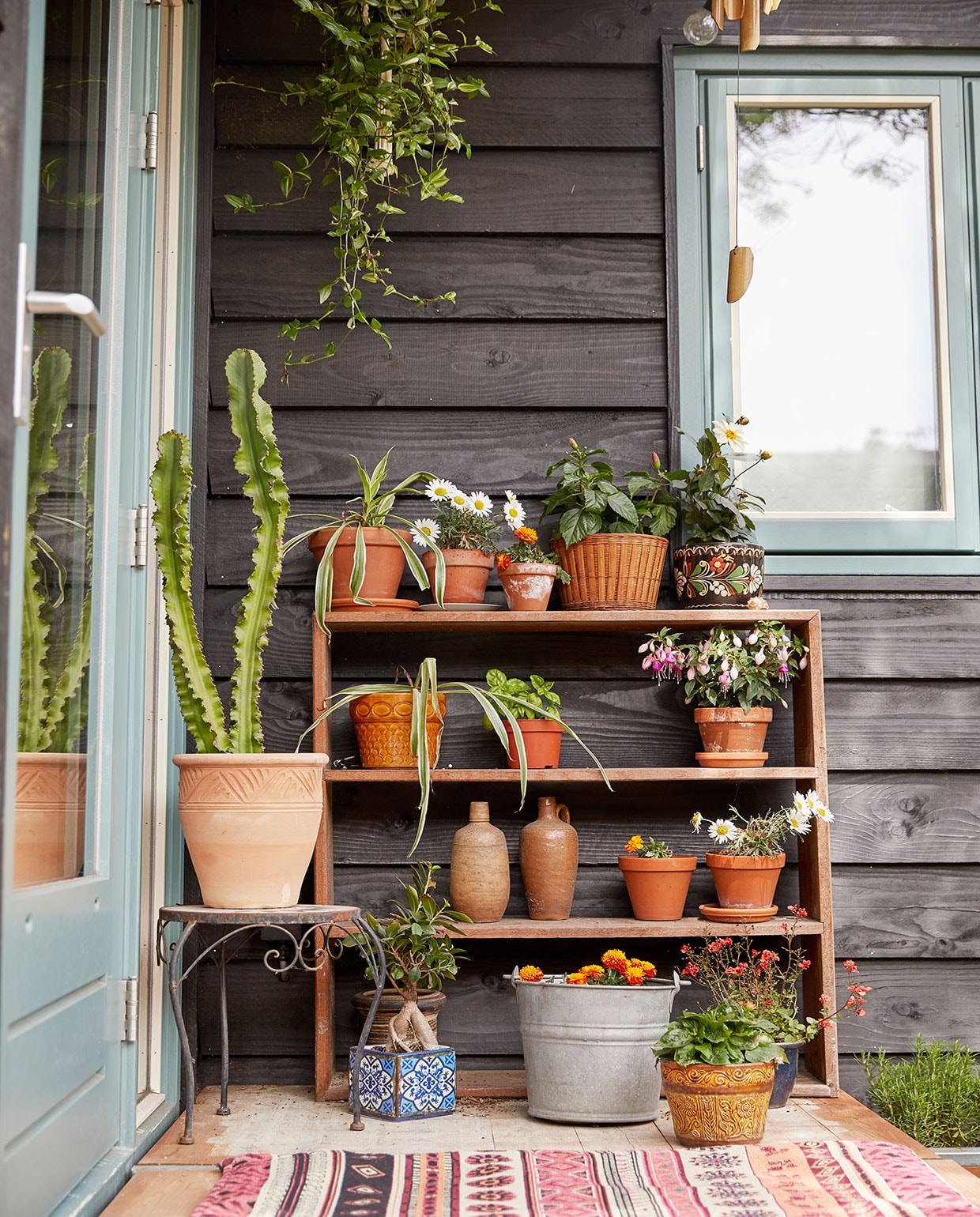 Plantenrek zelfgemaakt. Emmer rommelmarkt. Terracottapotten kringloop , en tuincentrum. Kruiken van vorige bewoners geweest. Kleed Xenos. Blauw bakje souvenir uit Portugal. vtwonen binnenkijken special tiny houses | styling Iris van der Meer | fotografie Peggy Janssen