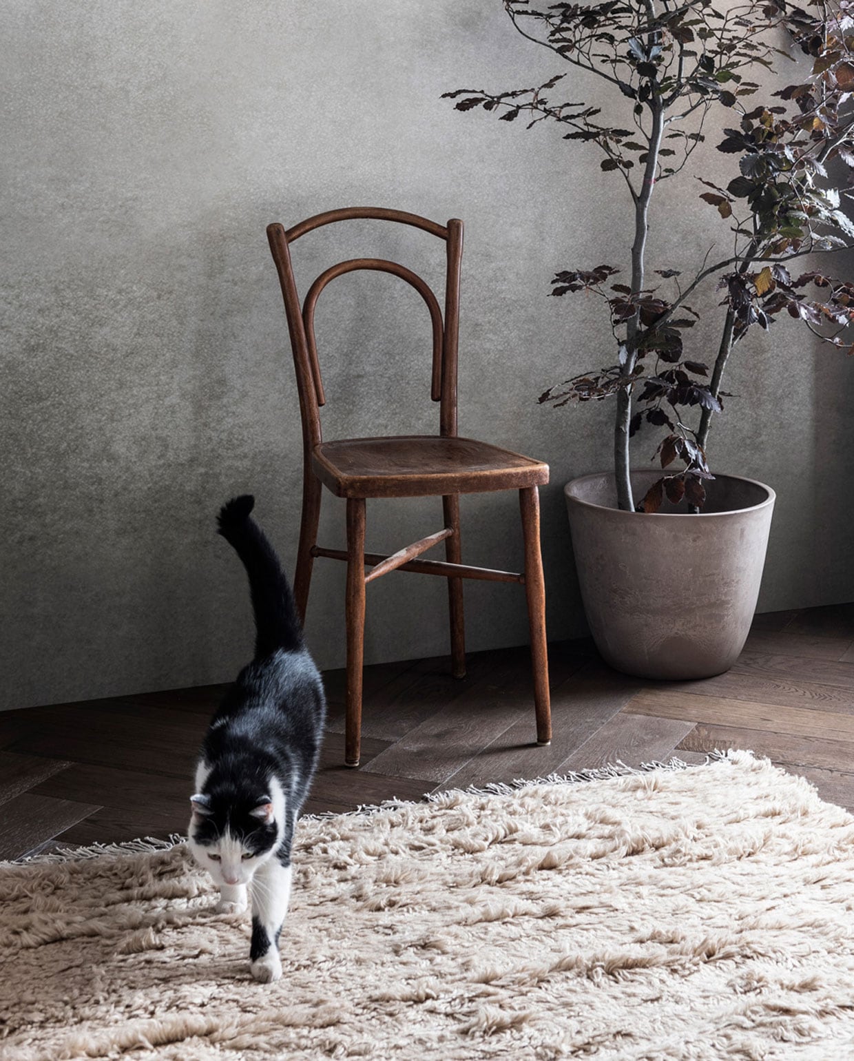 Productinformatie onbekend. vtwonen collectie 2019/2020 | fotografie Sjoerd Eickmans