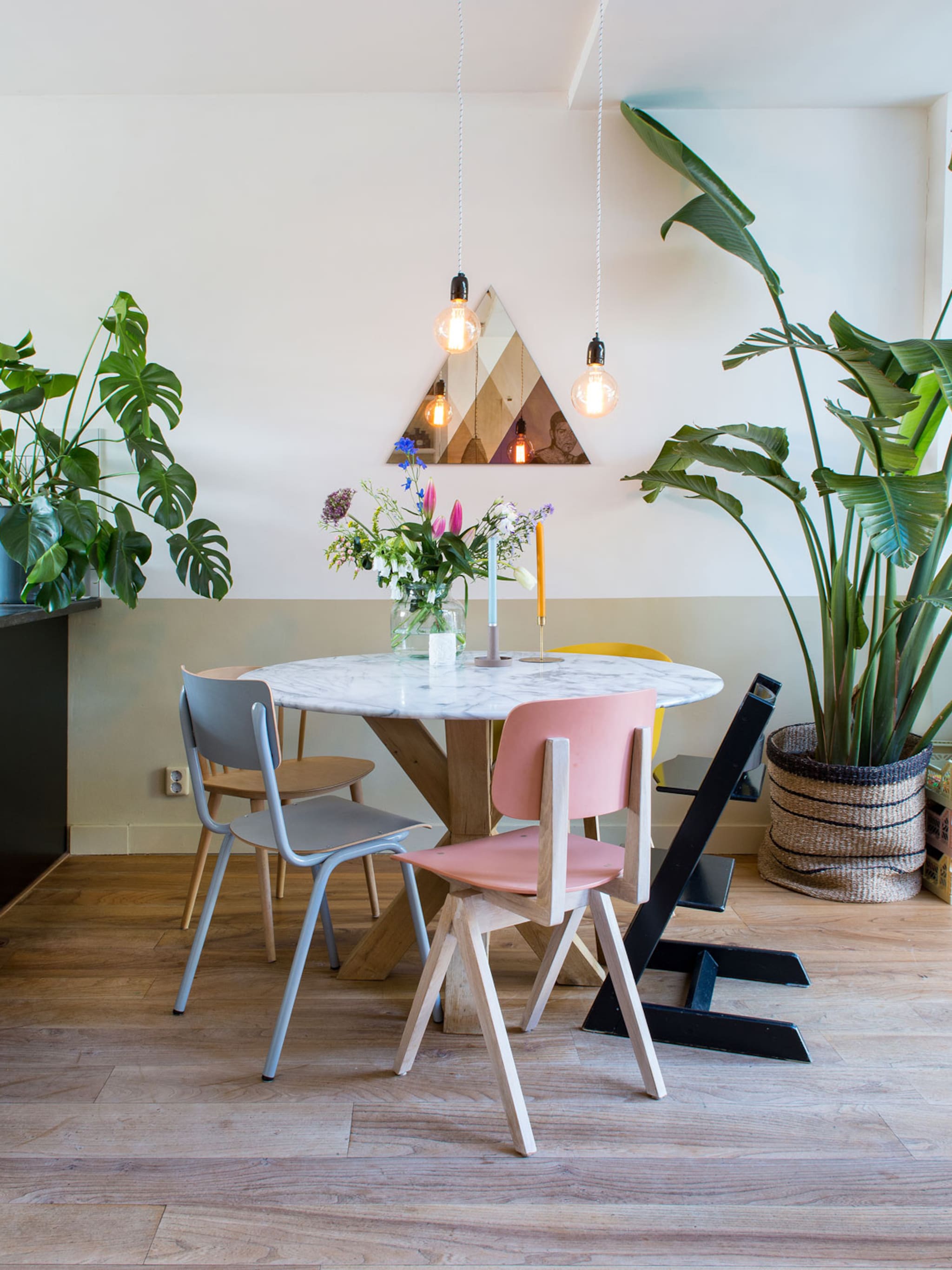 baby get higher deze kamerplanten groeien als kool