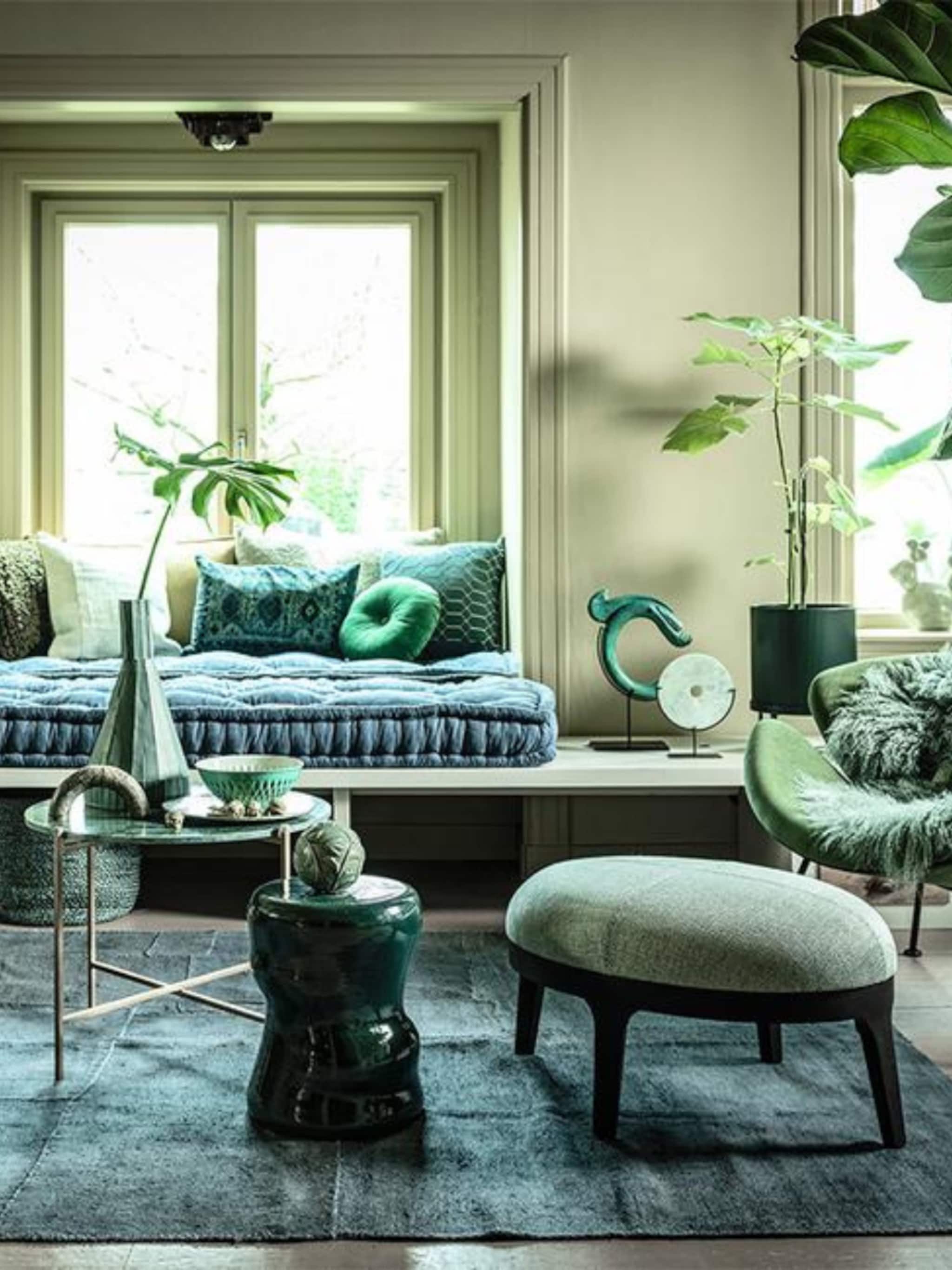 zo zorg je ervoor dat planten mooi blijven groeien nu het kouder wordt