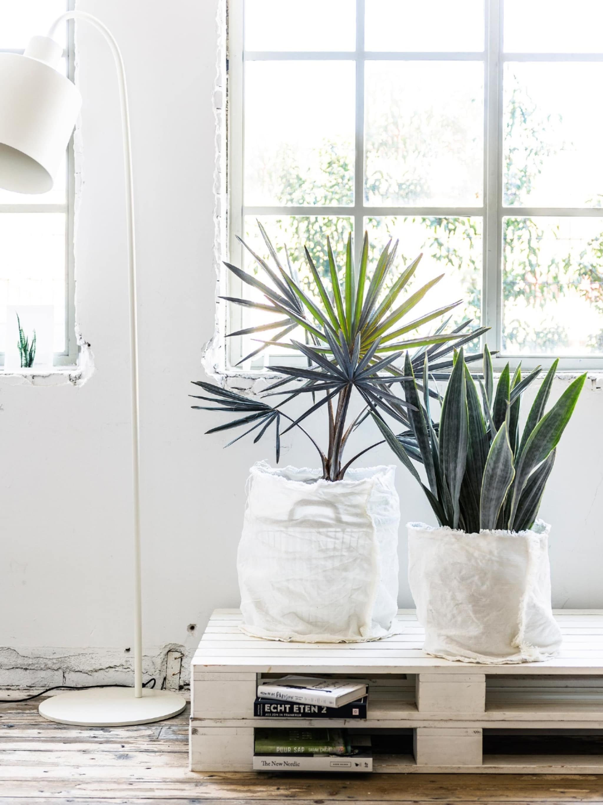 geef je planten een plek in een van deze diy s