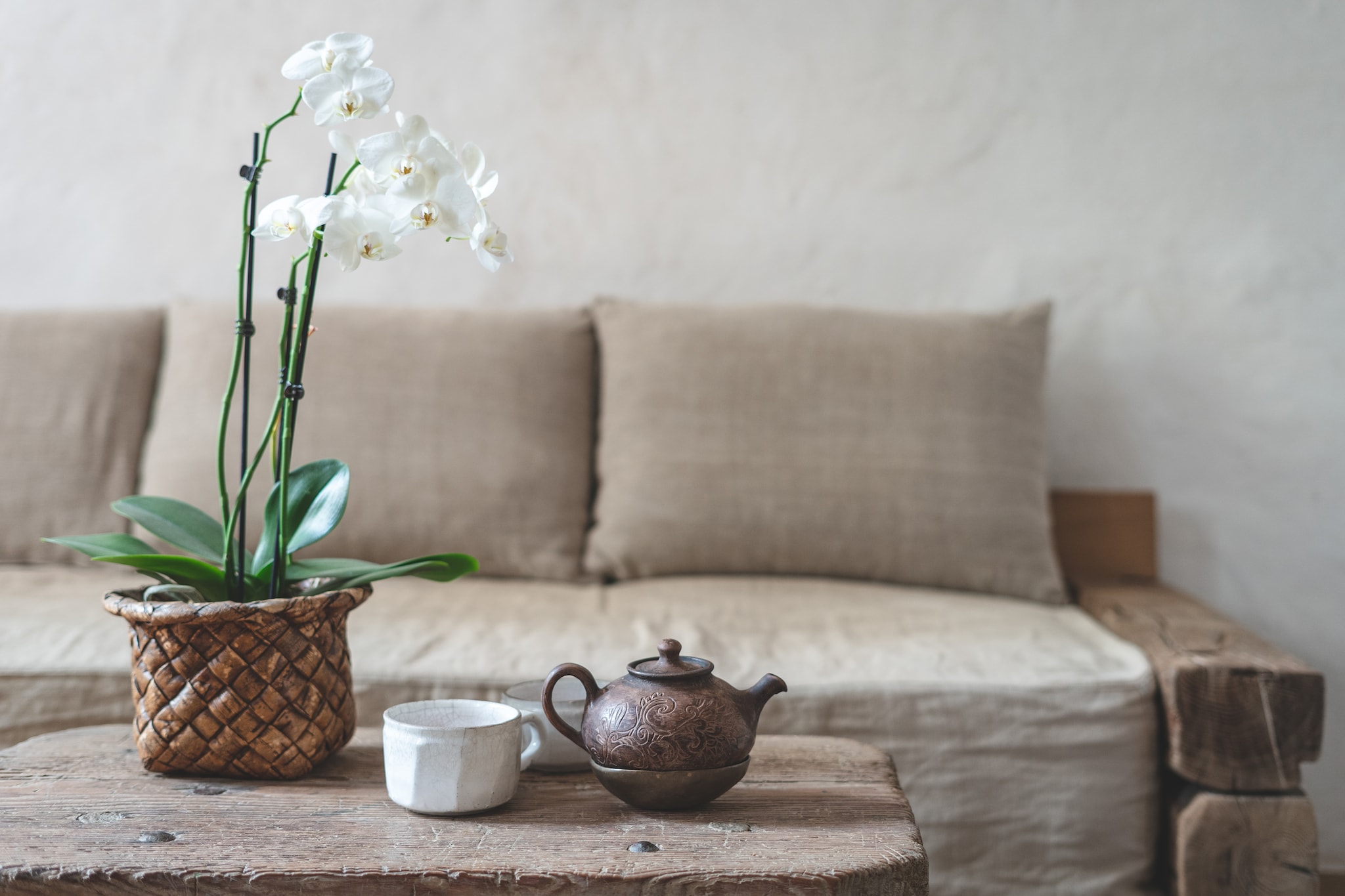 beeld vtwonen Shutterstock / brizmaker