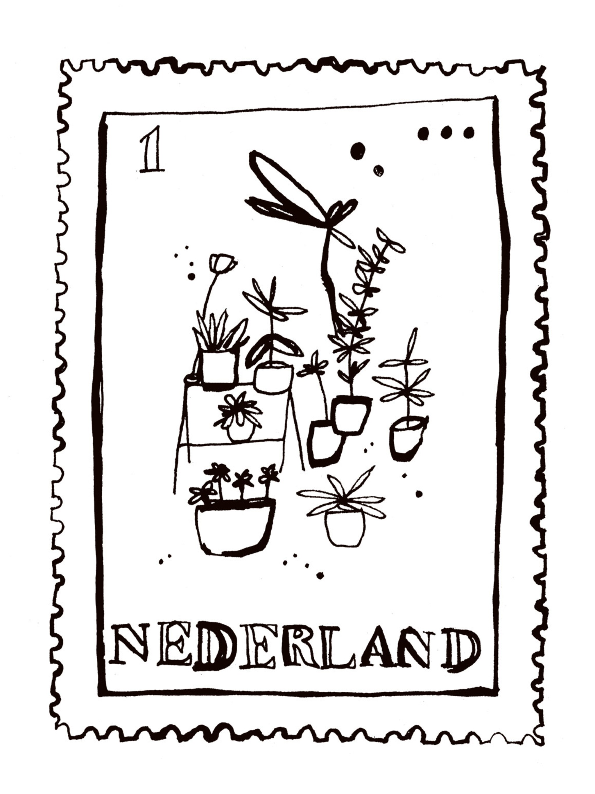 postzegeltuin 5 tips voor extra meters in de tuin