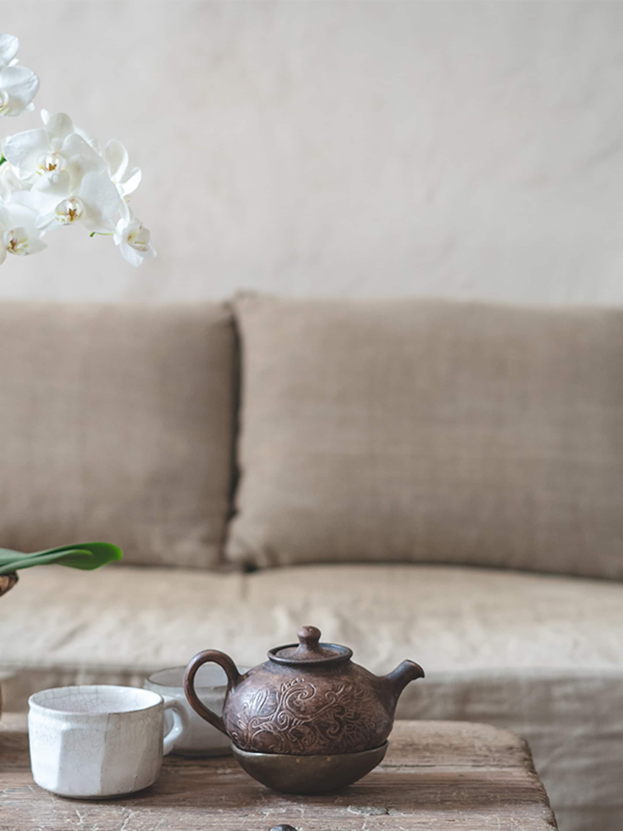 perfect match de orchidee voor jouw interieur