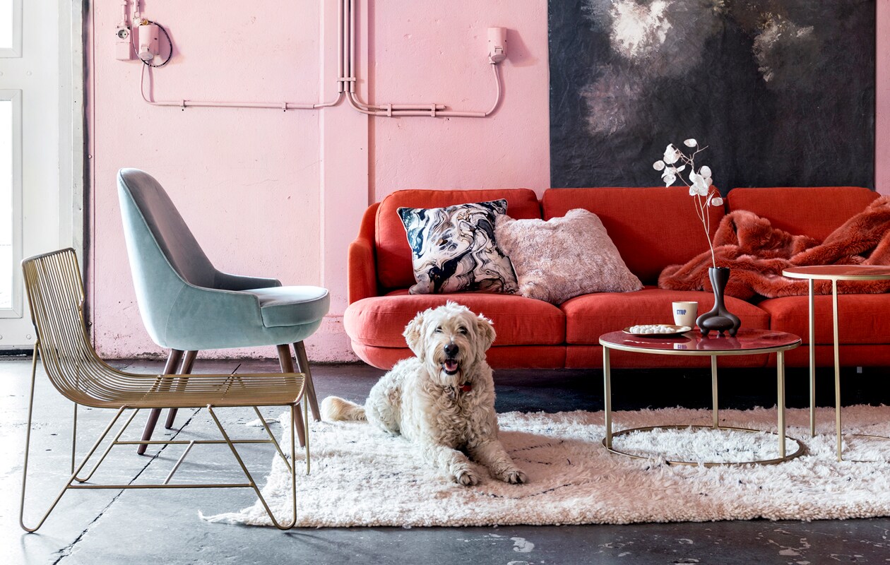 Lune 3-zitsbank, ontworpen door Jaime Hayón voor Fritz Hansen, fauteuil in zeegroen fluweel ontworpen door Walter Knoll (Mister Design). Kussen met marmereffect van Nordal (vtwonen.nl). Kussen van nepbont en plaid van nepbont (Padcon). Messingkleurige draadstoel van Madam Stolz (deens.nl). Tafels, vloerkleed (Pols Potten). Canvas doek met kreukeffect met kopie van schilderij Stilleven met Bloemen van Auguste Jouve uit de collectie van het Rijksmuseum (More than Canvas). Vaas in samenwerking met Roderick Vos, mok in samenwerking met Edwin Vollebergh (Social Label). vtwonen 12-2018 | styling Marianne Luning | fotografie Stan Koolen | M.m.v. Social Label Den Bosch