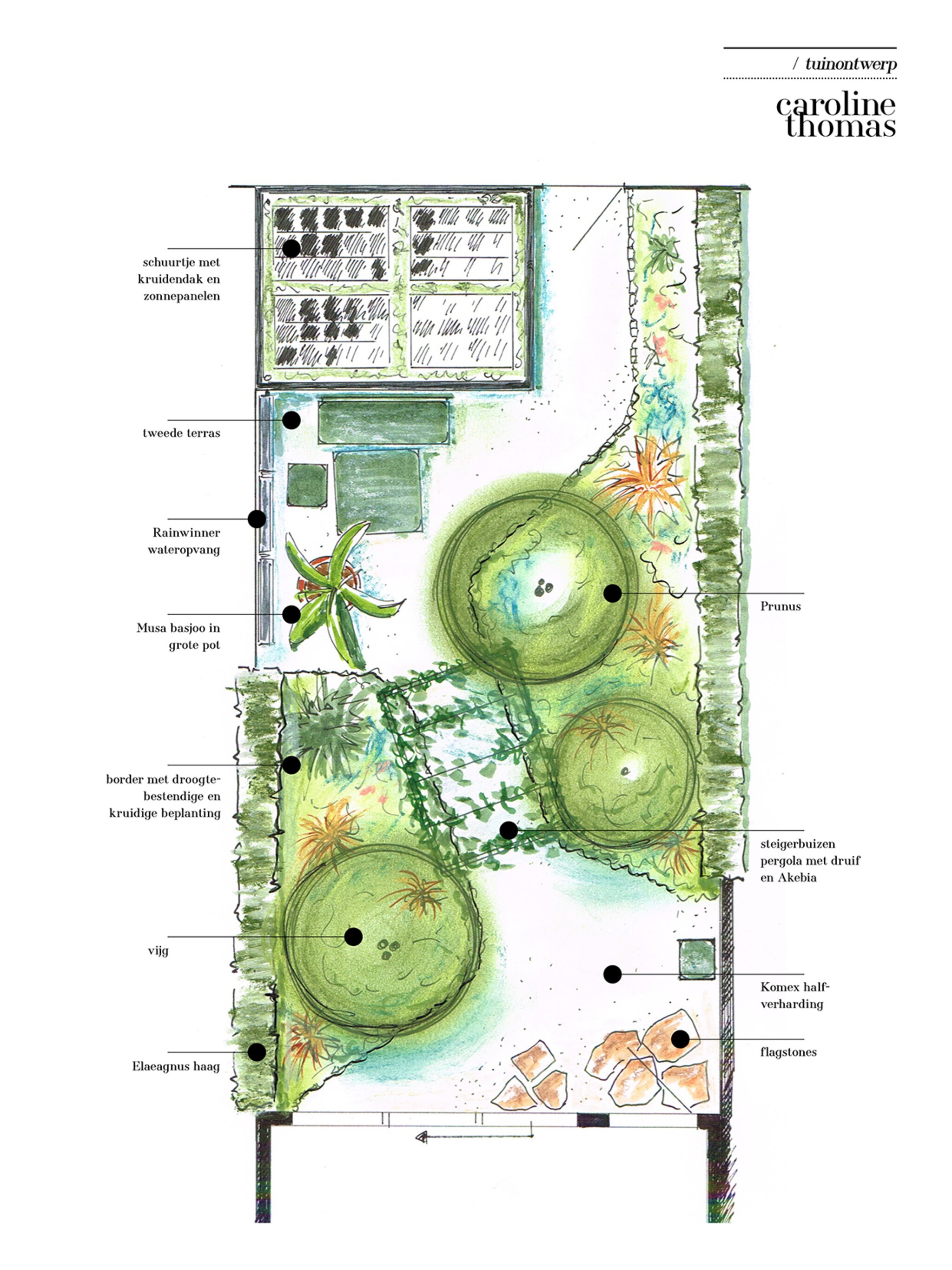 een tuinontwerp met een zuid europees gevoel op 50 m2