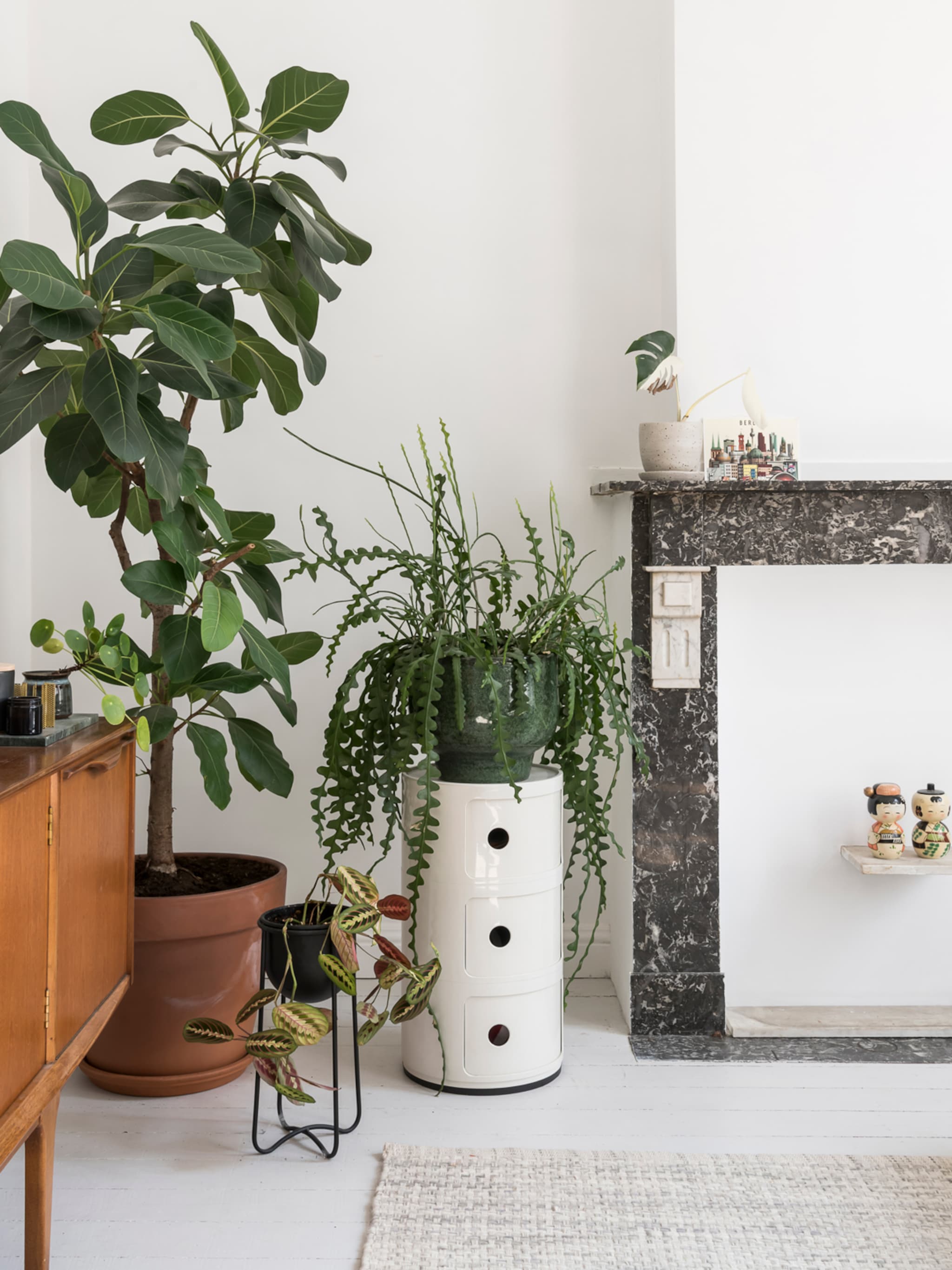 help je kamerplant de winter door