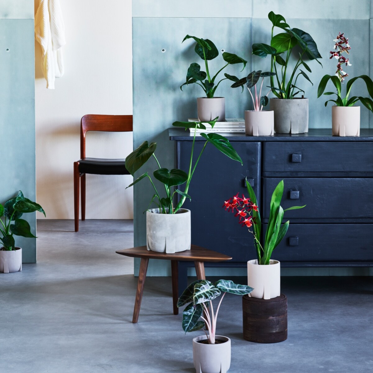 beeld vtwonen vtwonen pot en plant collectie