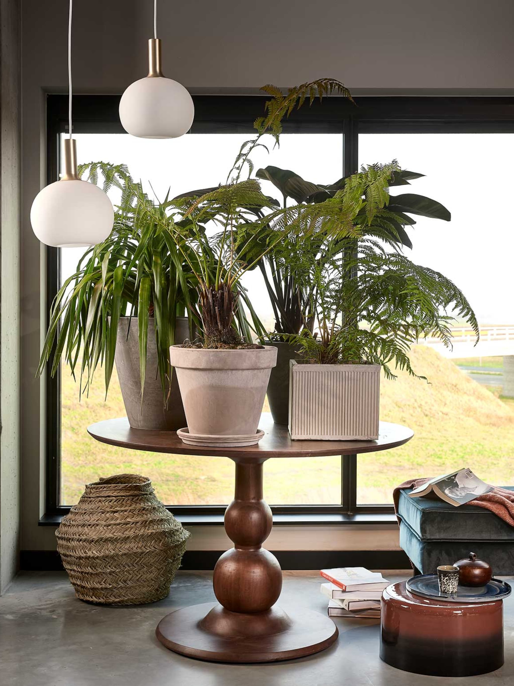 top 10 trendplanten voor 2022