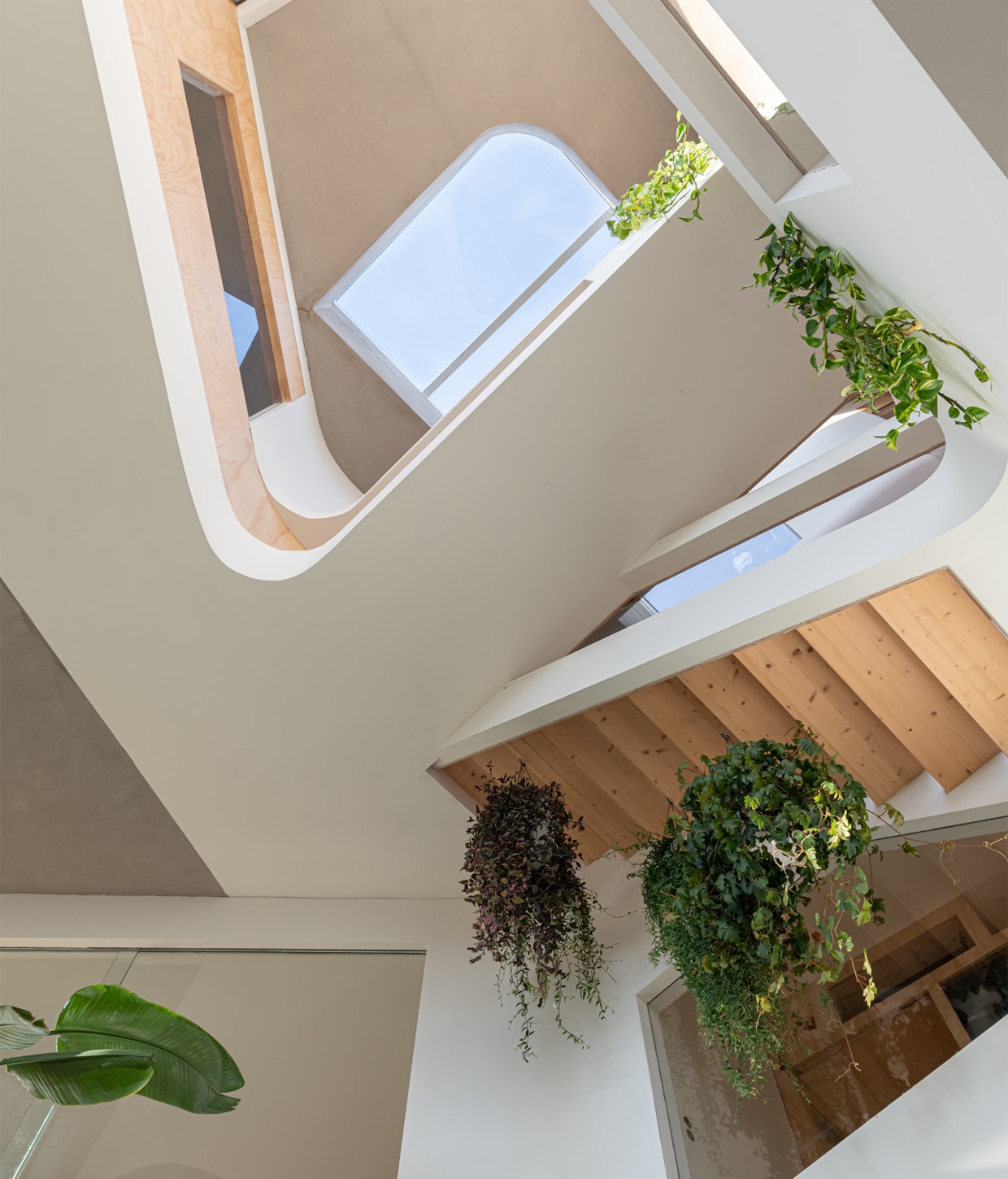 Planten Strelizia en Monstera Pertuum. vtwonen 01-2021 | Productie en fotografie Caroline Martinot | Styling Sharon Roest
