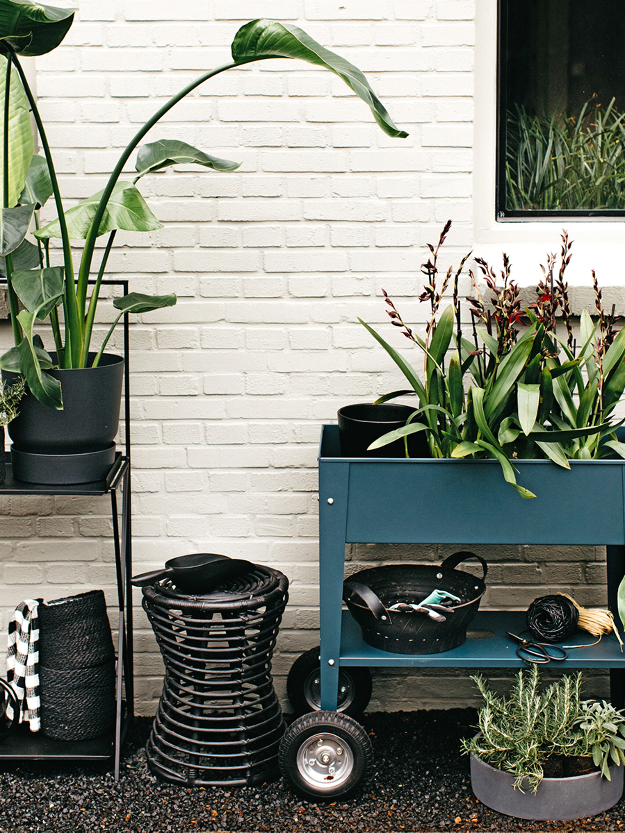 4x waarom zwart in de tuin de nieuwe trend is