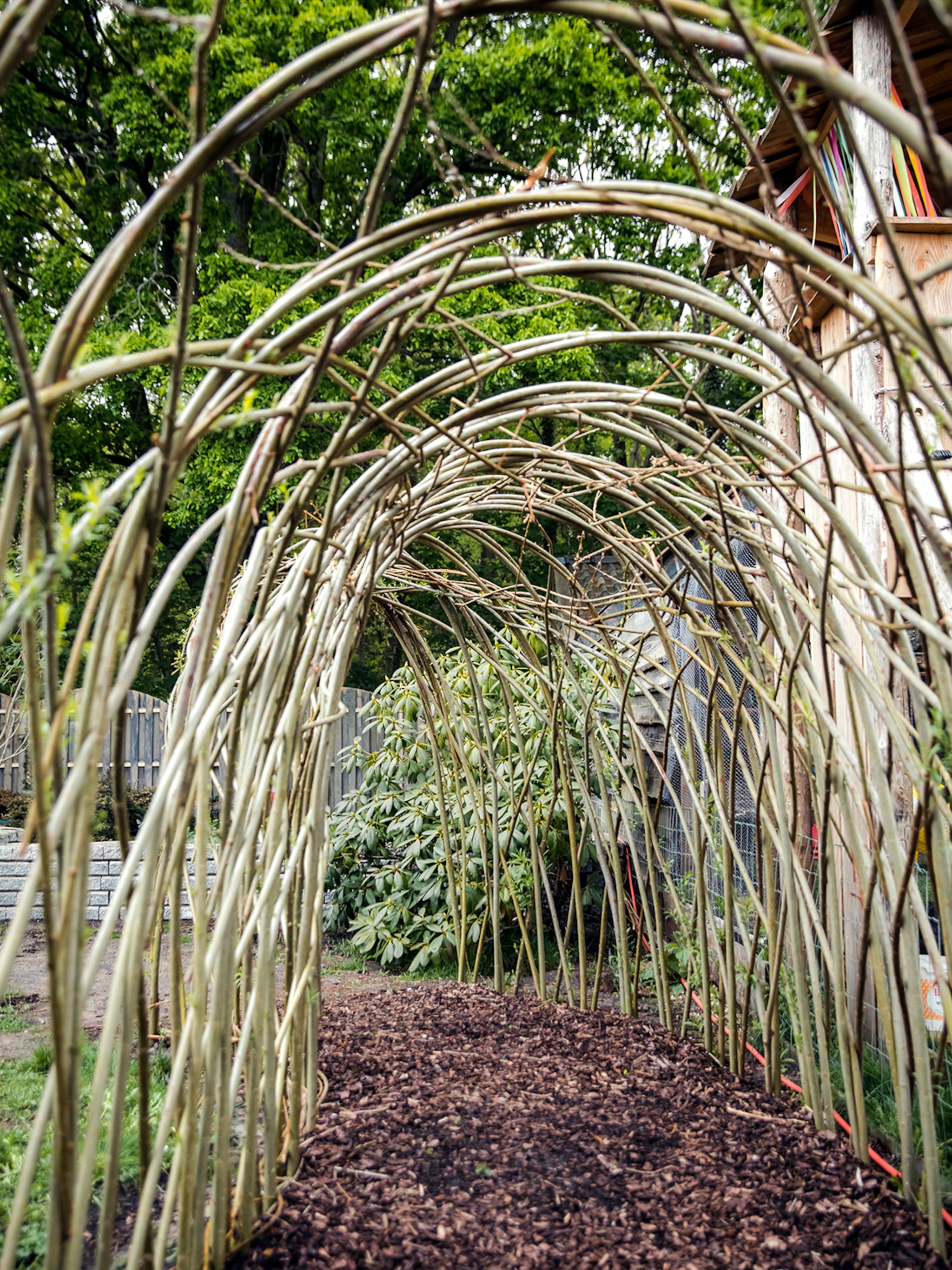 tips voor wilgentenen vlechten voor in de tuin