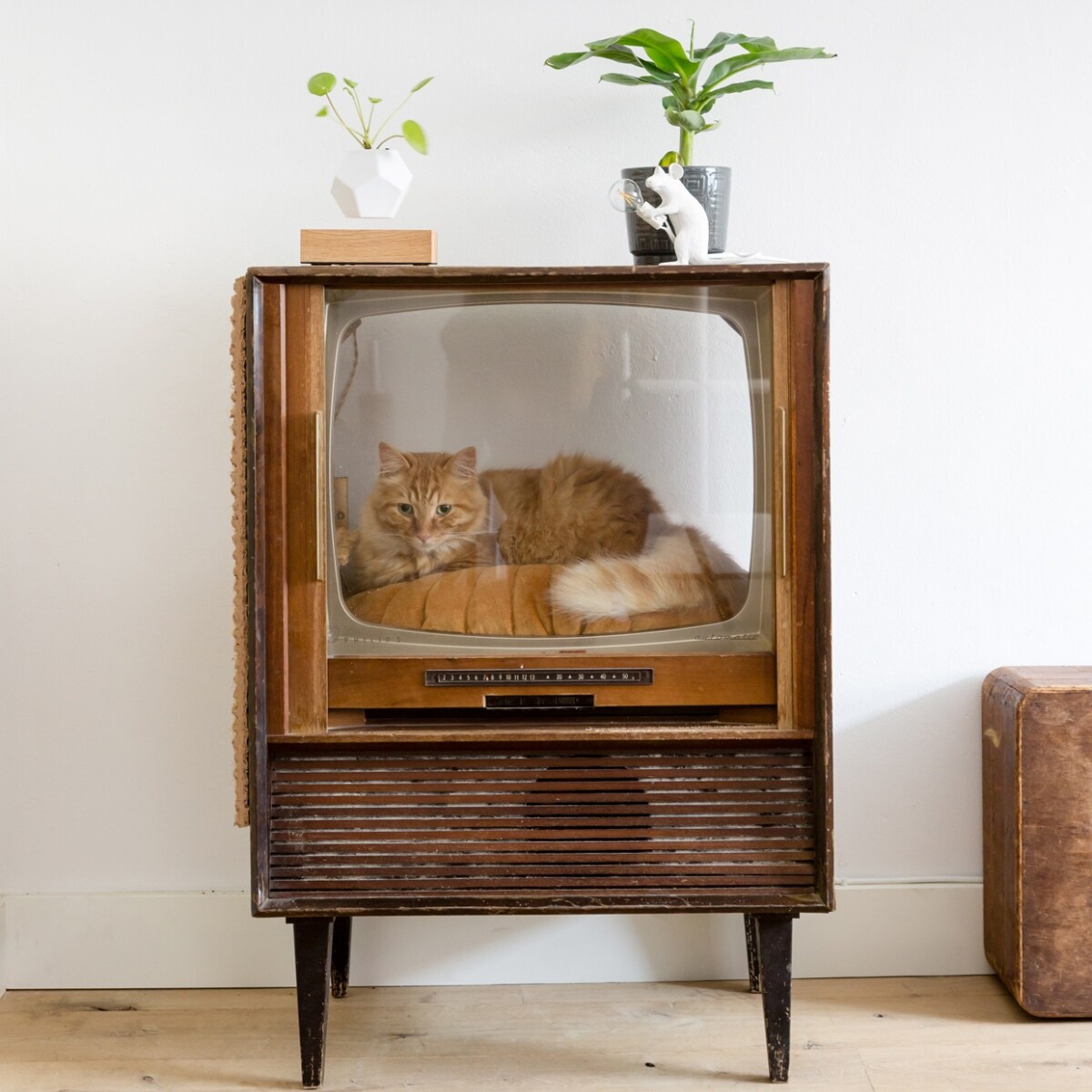 beeld vtwonen Fotografie: Barbara Kieboom | Styling: Eva van de Ven