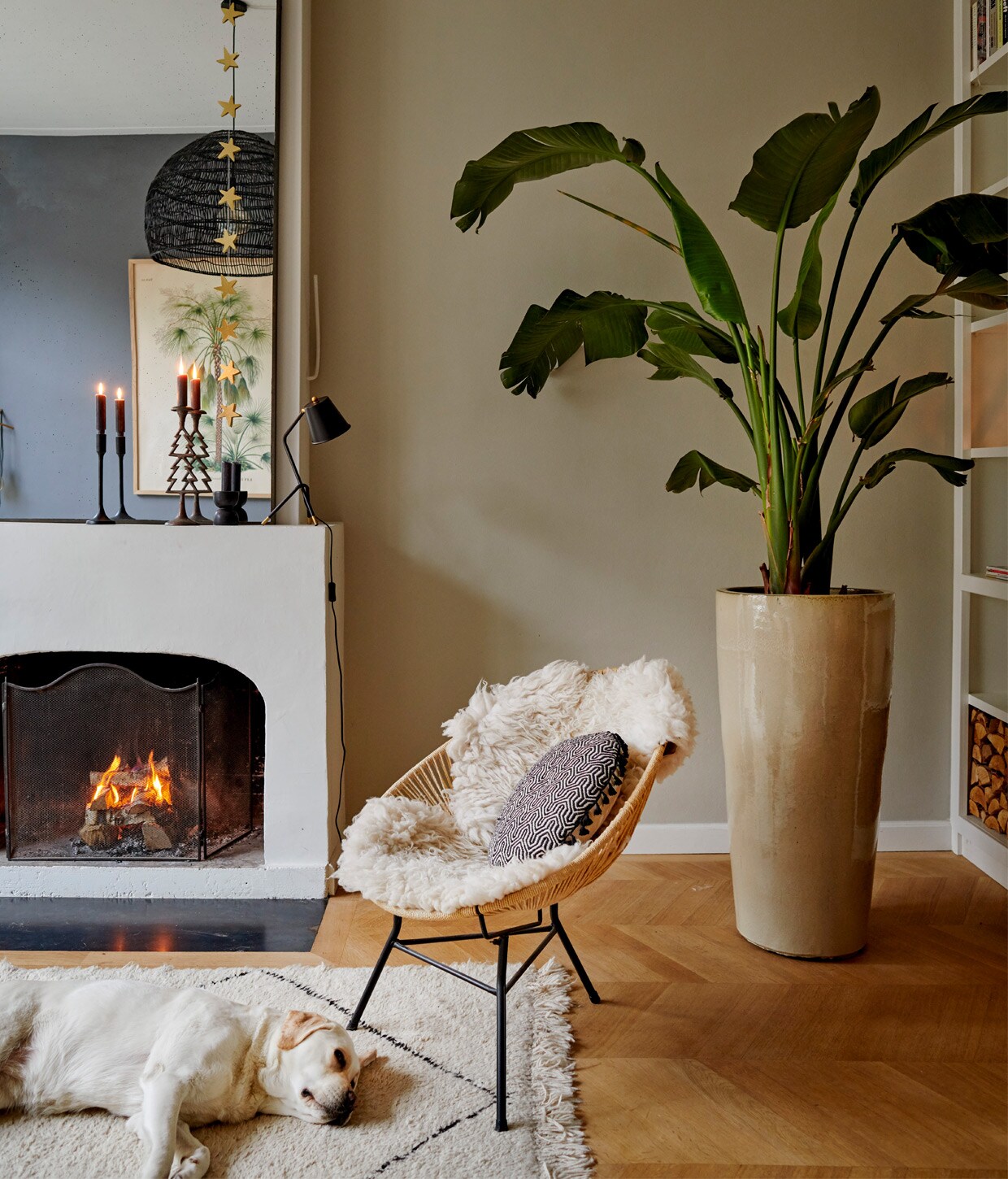 Muurverf Schelpenzand van Histor, verf op deschouw Strong White van Farrow &amp; Ball, eikenvloermet Hongaarse punt Wijers Vloeren, stoel DennisLiving Haarlem, vacht herkomst onbekend, kussenSissy-Boy, pot en plant Dennis Flowers Haarlem,vloerkleed Beni Ouarain van Rozenkelim, spiegelMetal van HKliving, tafellamp Bright Living,kandelaars gekregen. vtwonen 12-2020 | Styling Features &amp; More | Productie Wilma Custers | Fotografie Renee Frinking