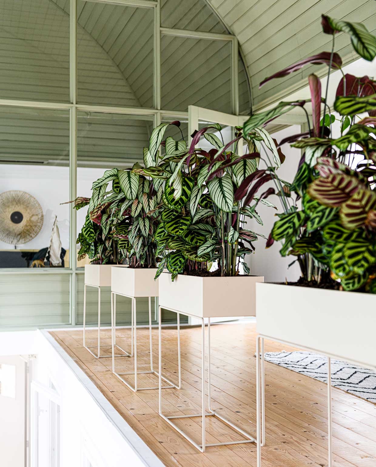 Ferm living plant box plantentafel €199,-, hkliving zigzag runner vloerkleed €64,95,