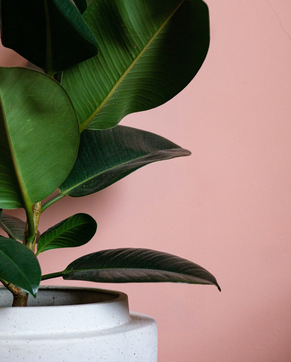 beeld vtwonen Unsplash