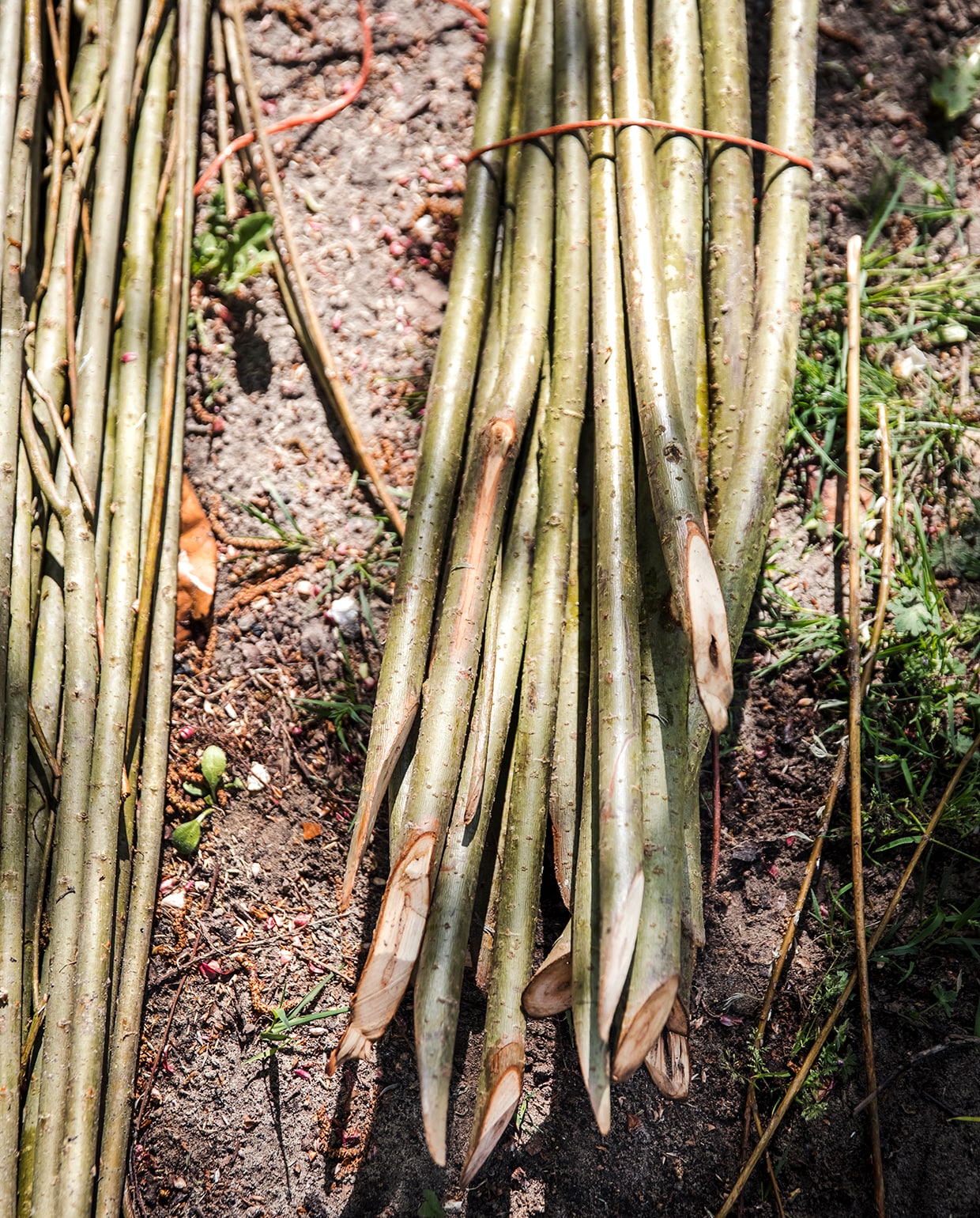 Wilgentenen vlechten. vtwonen tuin special 2 2020 | fotografie Ernie Enkelaar | tekst Eveline Stoel | uitvoering Piet-Hein Spieringhs (vlechterij.nl)