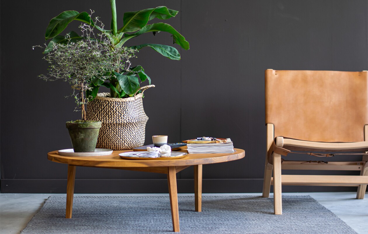 beeld vtwonen vtwonen 2024-09 | Styling Marianne Luning | Fotografie Lotte Kwant