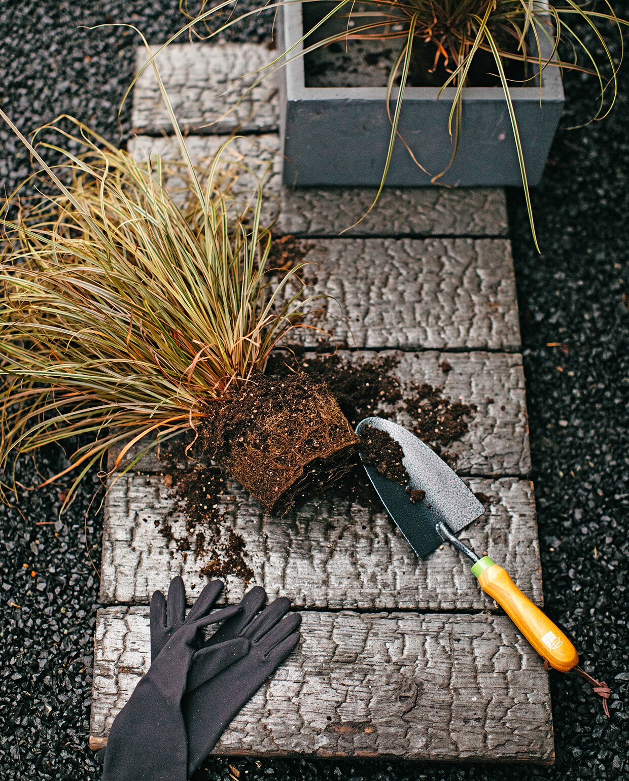 Zwart basalt split (hornbach.nl). Paneel Naoshima van gebrand Nederlands Douglas hout (zwarthout.com). Plantschepje (praxis.nl). Foxgloves Original tuinhandschoenen (wiltfang.nl). Antracietgrijze kubuspot (intratuin.nl). Siergras Uncinia Rubra. vtwonen tuin special 1 2020 | styling Moniek Visser | fotografe Danique van Kesteren