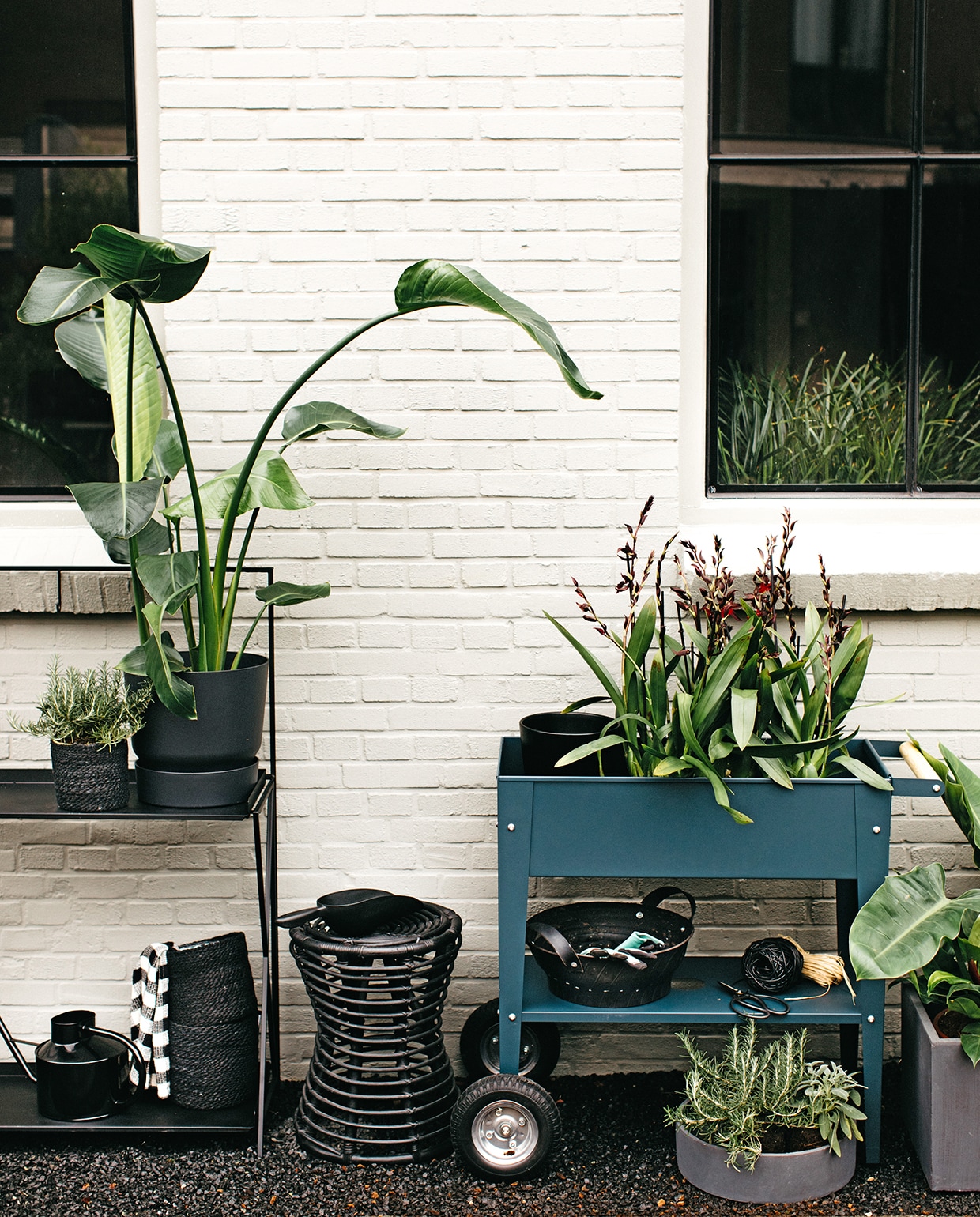 Zwarte plantentafel Decoris (fonq.nl). Zwarte pot Greenville van Elho, natuurraffia, ronde schaal betongrijs, kruidenplanten, kubuspot betongrijs (intratuin.nl). Plant Strelitzia Nicolai, manden van zwart jute, wafeltheedoek, zwarte kruk Kubu Kinabalu, orchideeën, zwarte rubberen schaal (loods5.nl). Zwarte kunststof multischep (karwei.nl). Kweektafel antracietblauw (wiltfang.nl). Schaartje (dille-kamille.nl). Zwart bindbuisdraad (gamma.nl). vtwonen tuin special 1 2020 | styling Moniek Visser | fotografe Danique van Kesteren